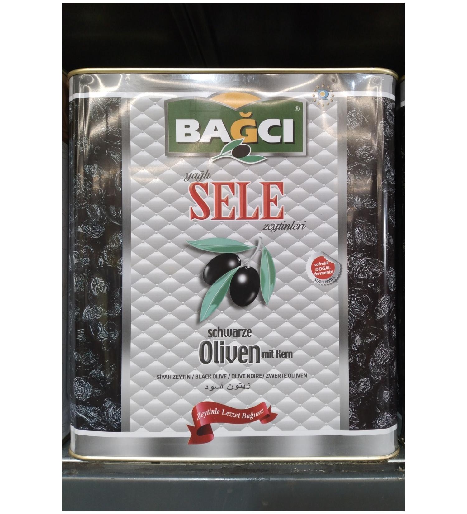 Bagci Gemlik Oily Olives (S Caliber 291-320) 2 Kg Tin