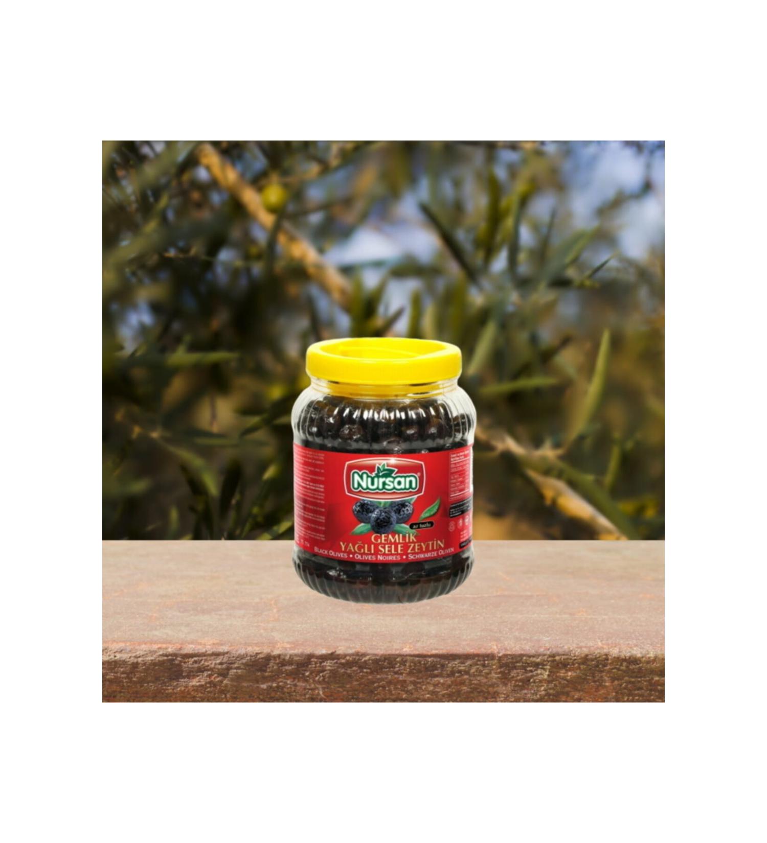 Nursan Food Special Special Oily Sele Olive 2 Kg