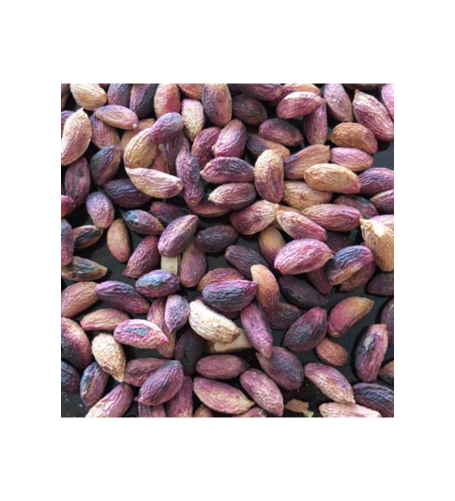 molasses Pine cone molasses