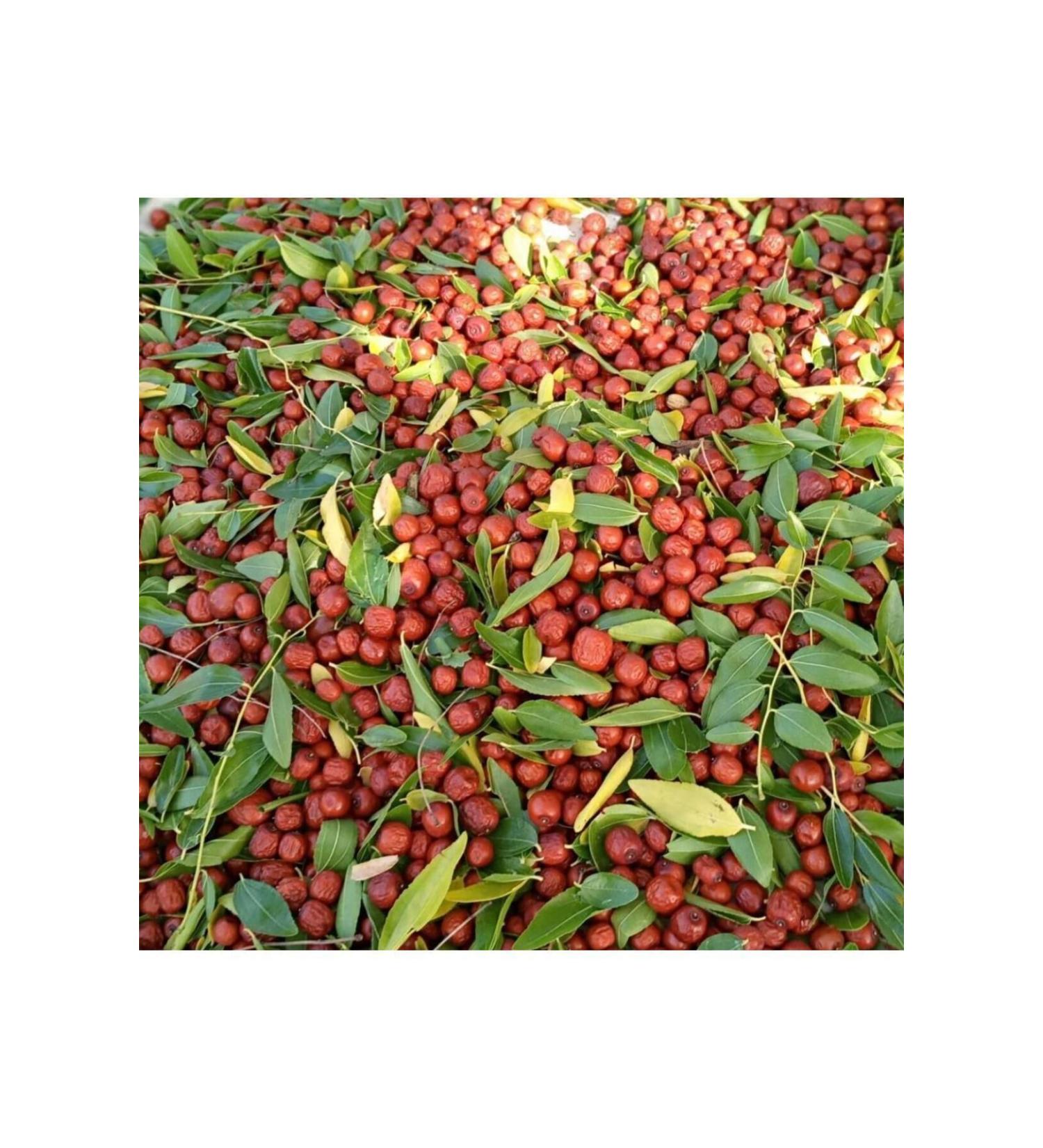 SULTAN WALNUT GARDENS 850 Gr Thrace Natural Flower Honey from the Producer