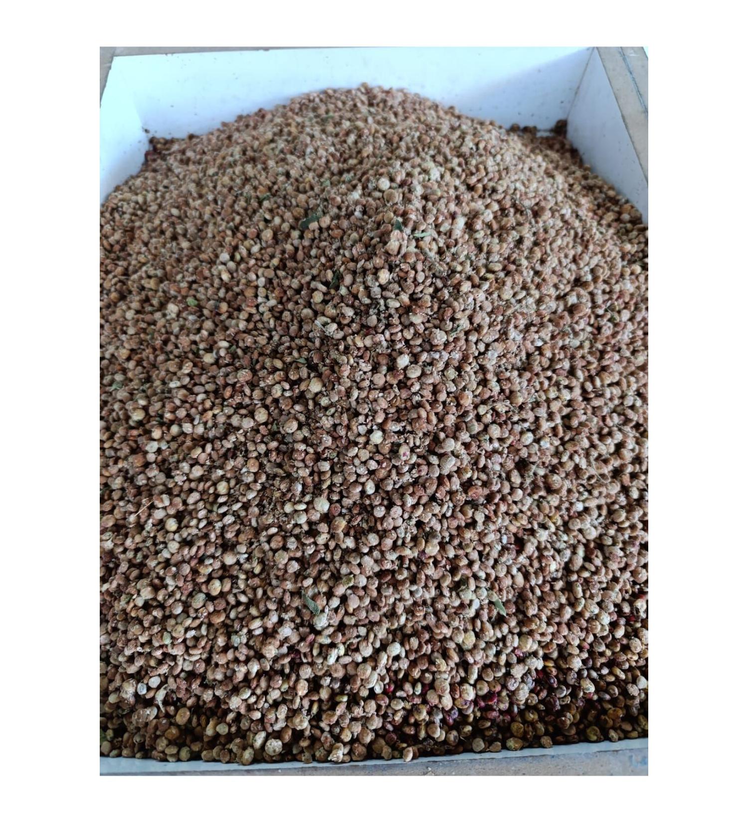 Local Food Market Organic Grain Mountain Sumac (500 Gr)