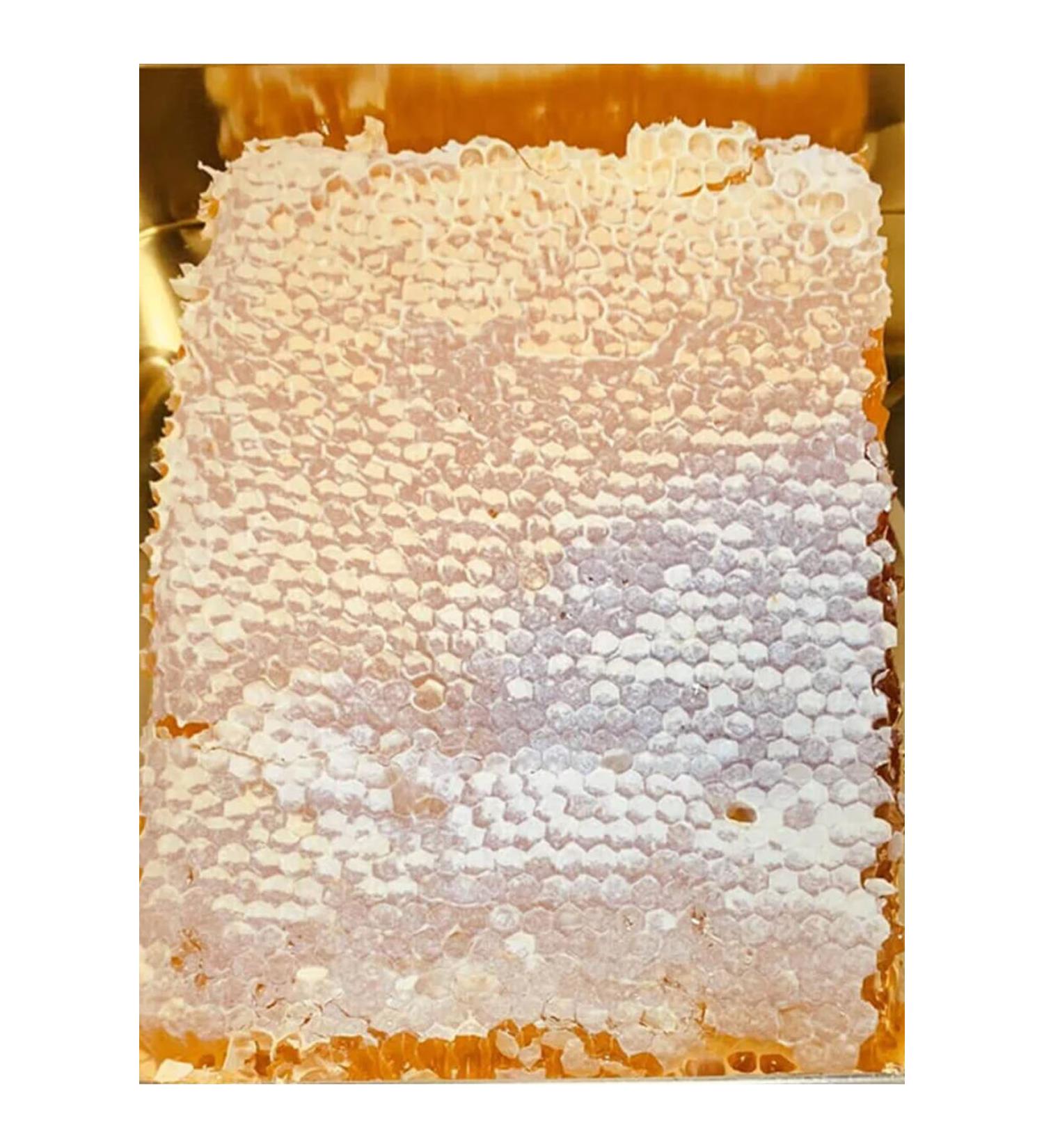 Wefood Organic Tahini 600 Gr (Local Sesame)
