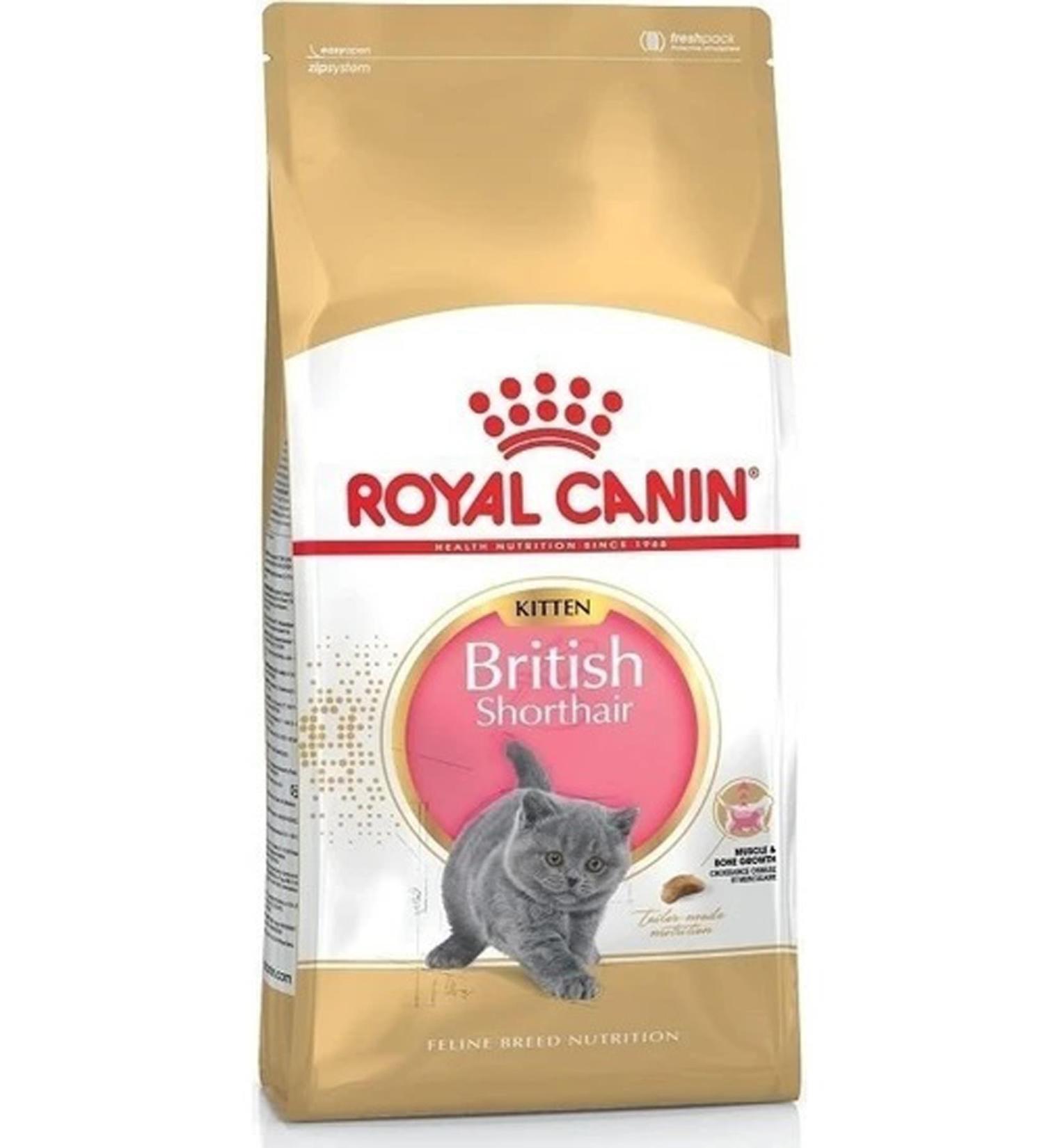 Royal Canin British Shorthair Kitten Cat Food 2 Kg - Tazemama Express