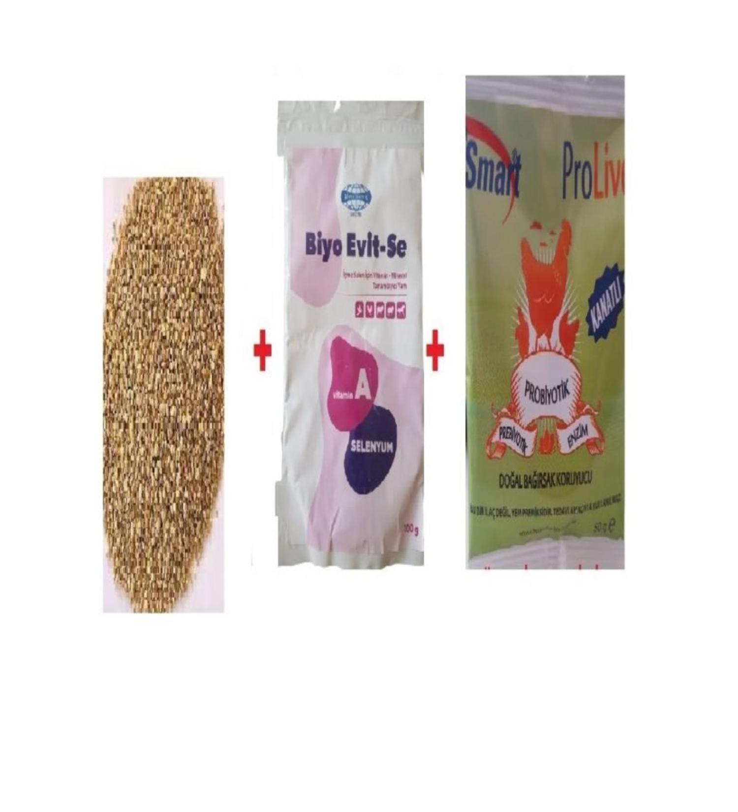 Smart Chicken Development Kit Chicken Development Feed 5 Kg Evitse Prolive 50 Gr
