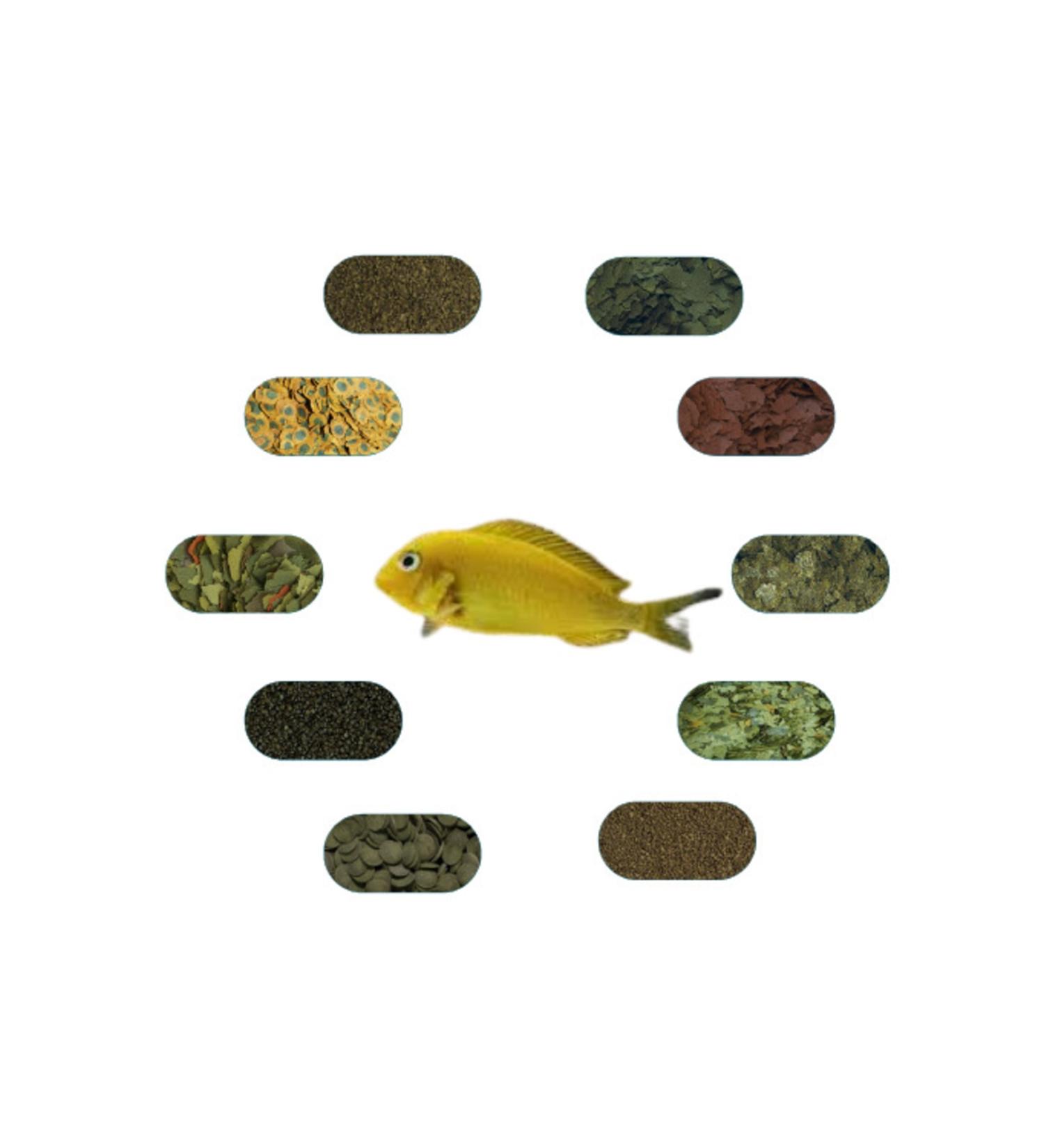 Tropheus Ilangi Yellow Special Fish Food Package 50 Gr/piece (7 TYPES)