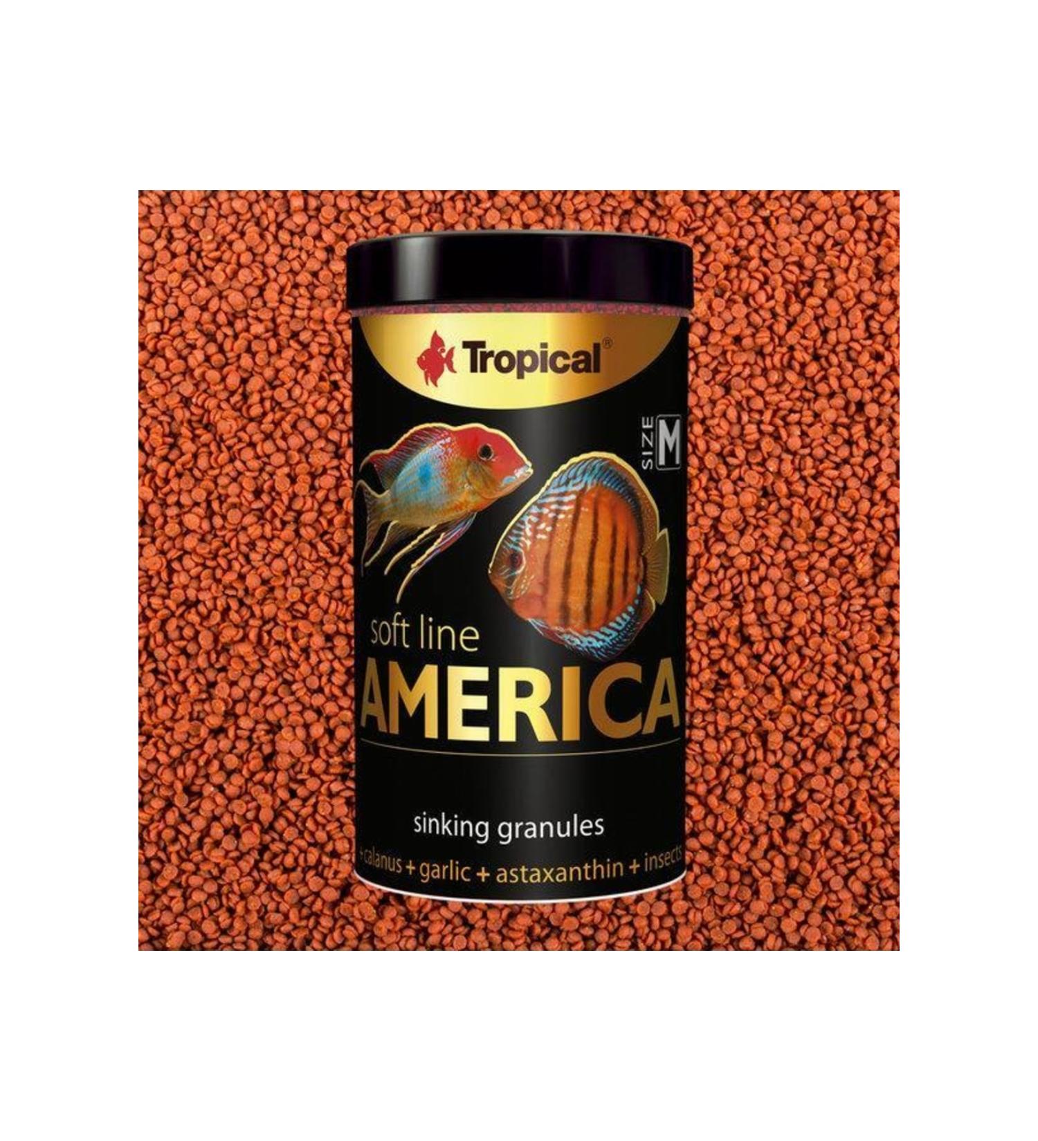 Tropical Soft Line America Size S 100ML/56GR