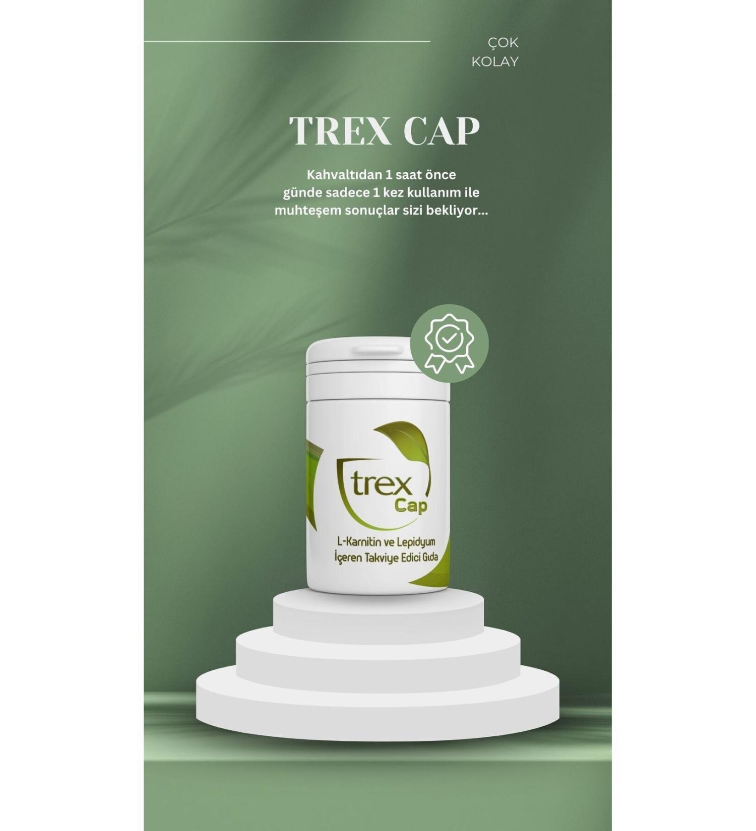 Gourmet Salmon Chicken Cat Canned Food 85gr 24 Pieces