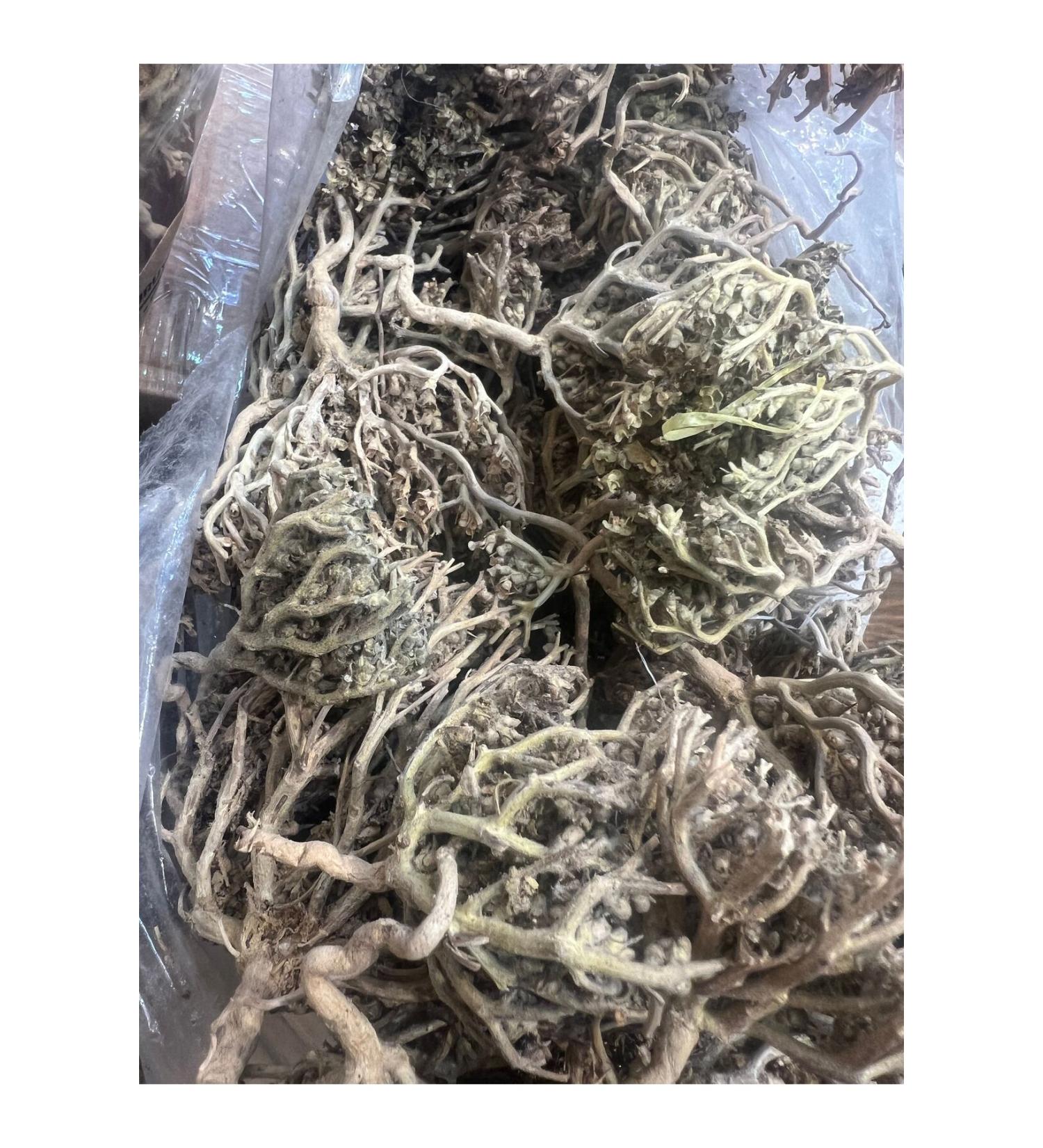 EVVAHE NATURAL Mastic Gum (5 GR.)