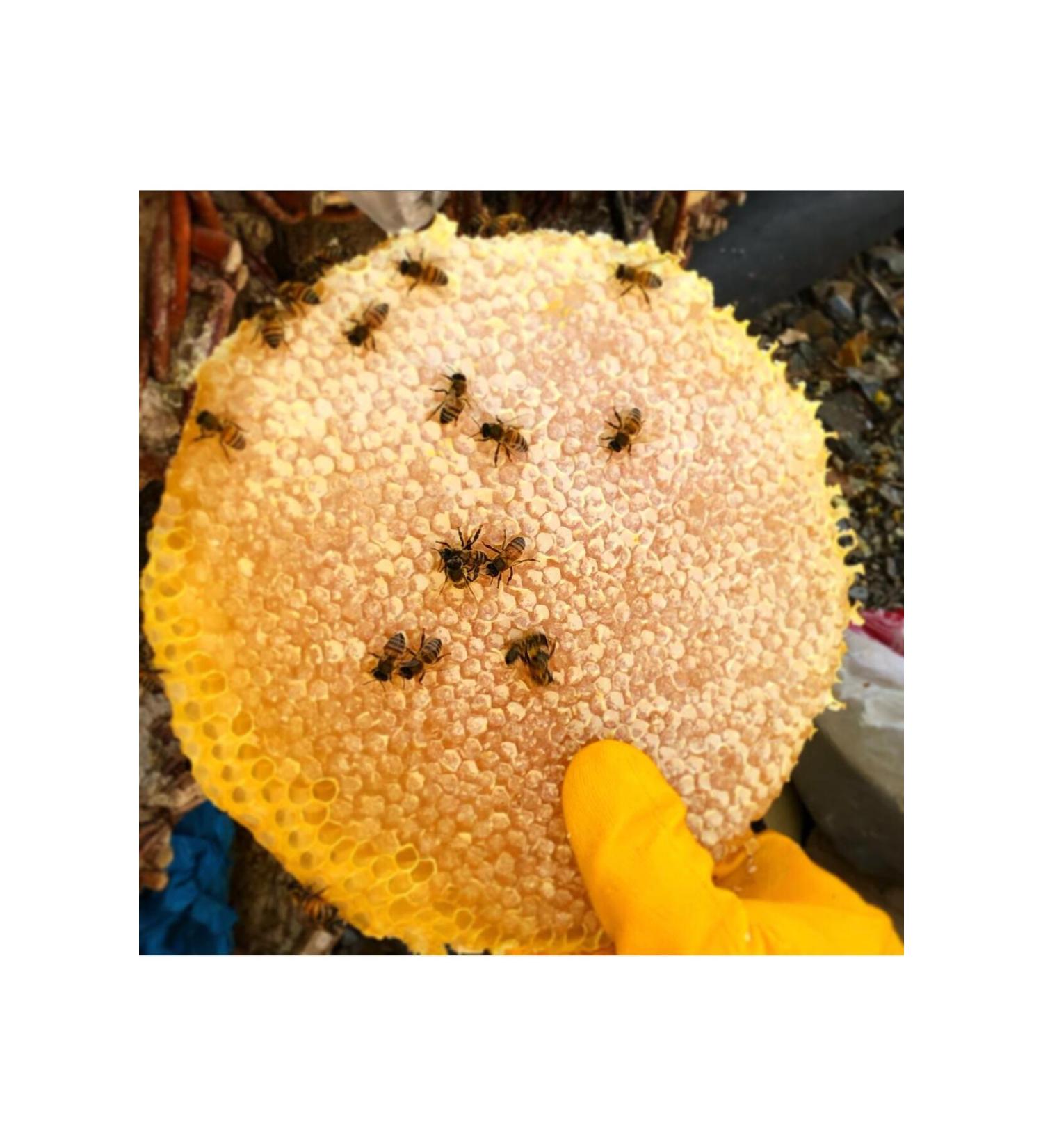 BEORGANIC Organic Tarhana 800 G