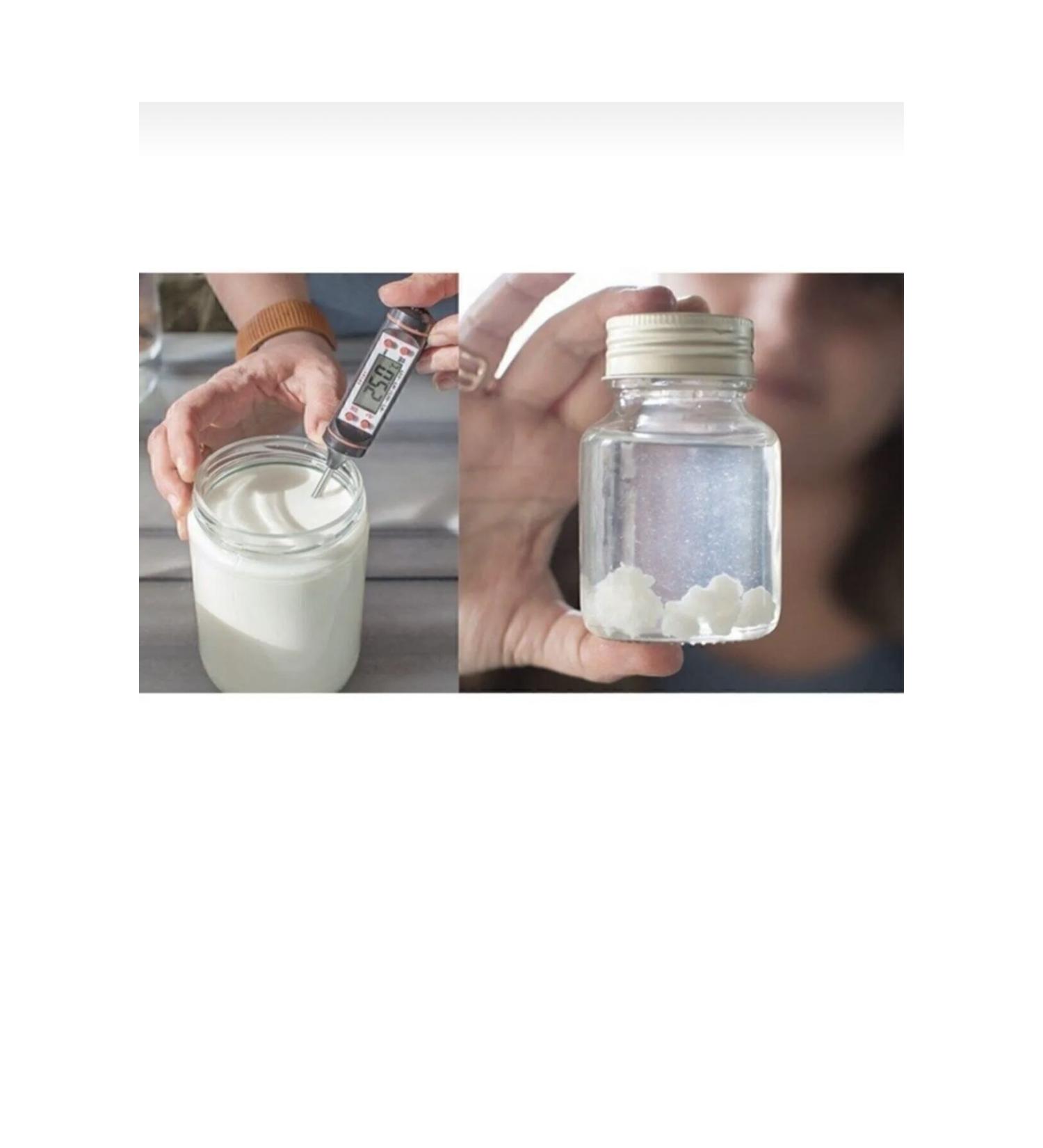 Kefiri Caucasian Kefir Yeast