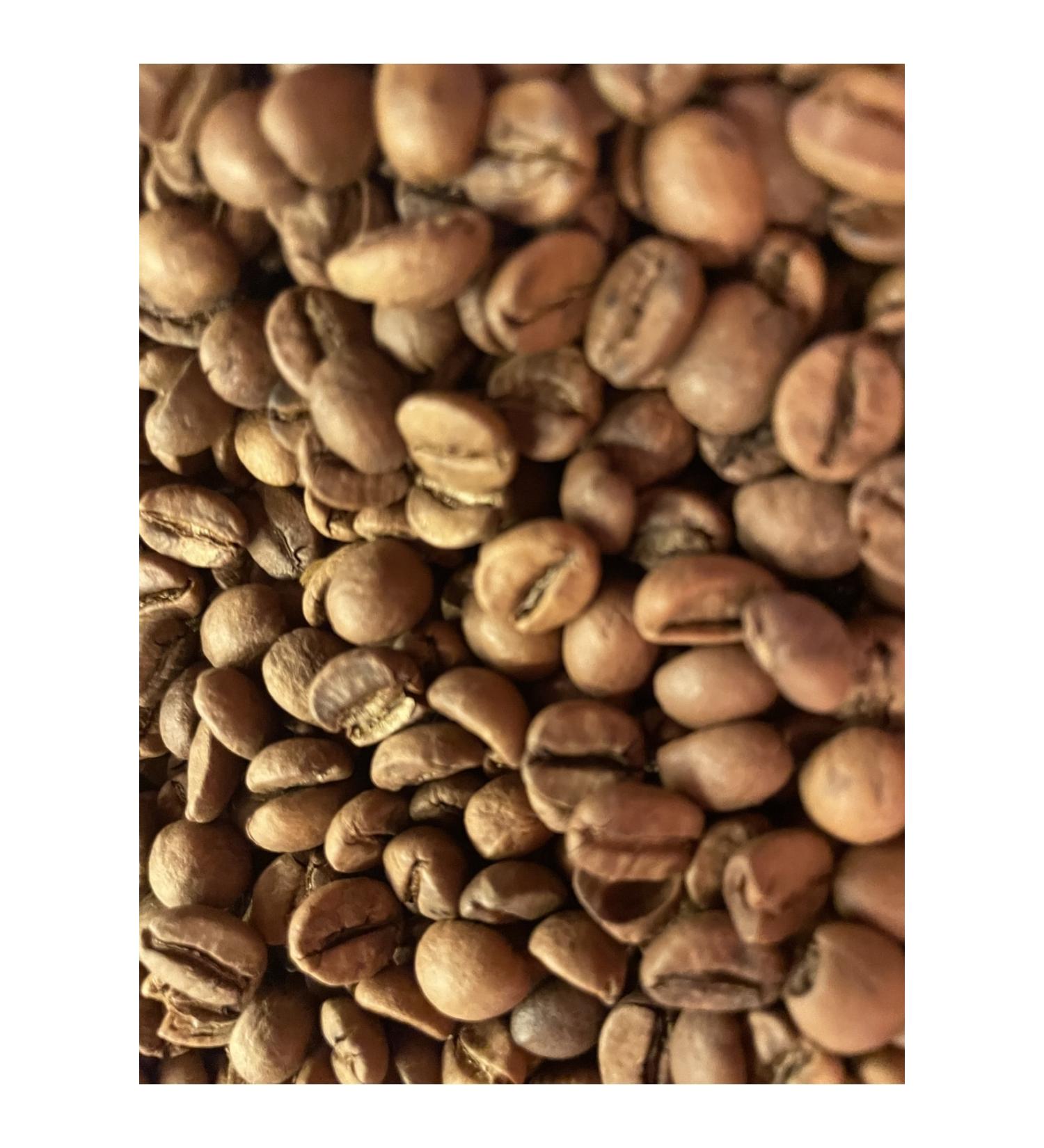 Proline Fish Adult Cat Food 3x1.5 Kg.