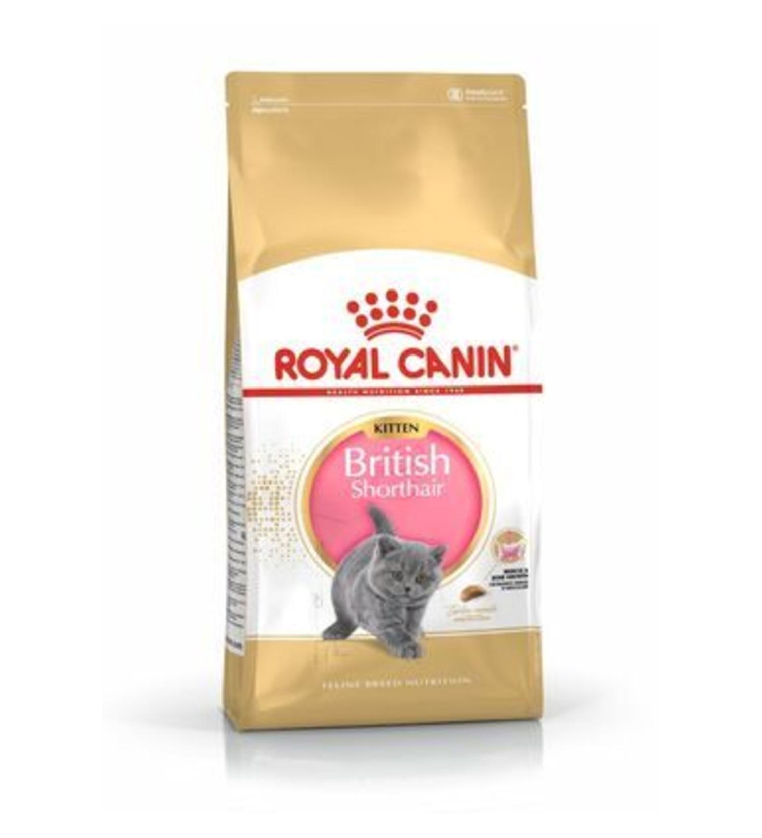 Royal Canin Kitten British Shorthair Kitten Cat Food 2 Kg - Buy Online on GoSupps.com