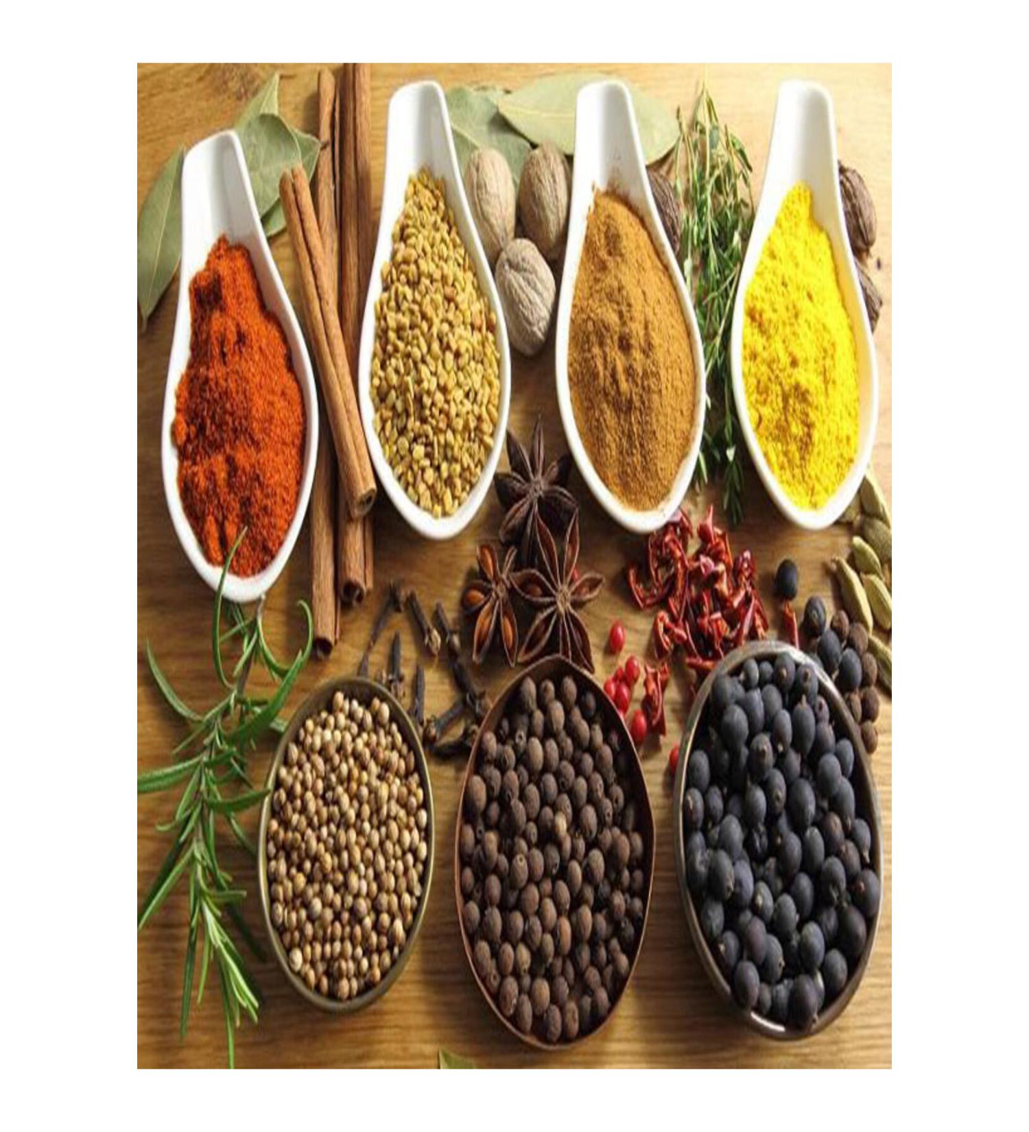 Tetra Ex 1500 Plus Bucket Gasket