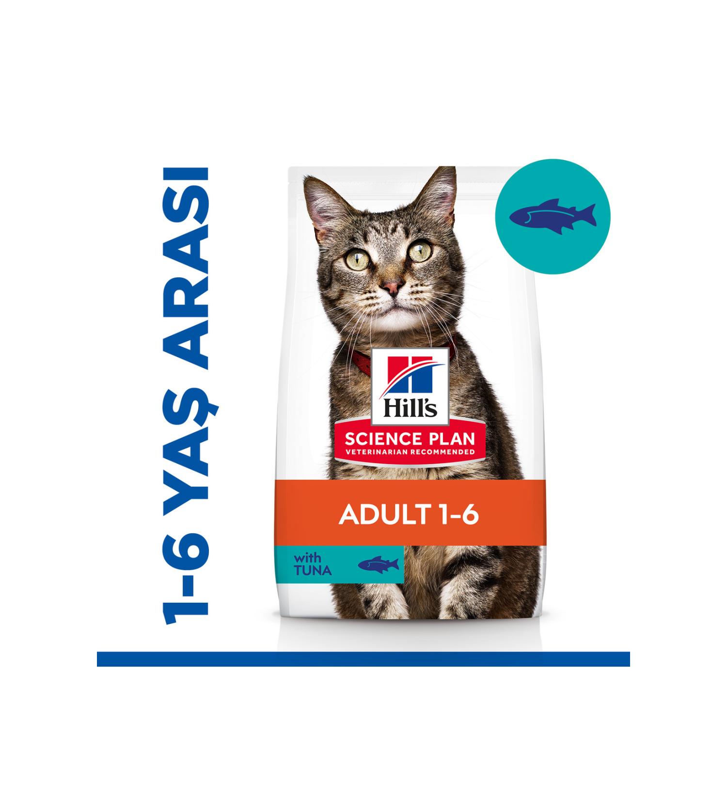 Wise Cat Wise Cat SALMON ADULT CAT 400 GR X 12 PIECES - Petshopundan