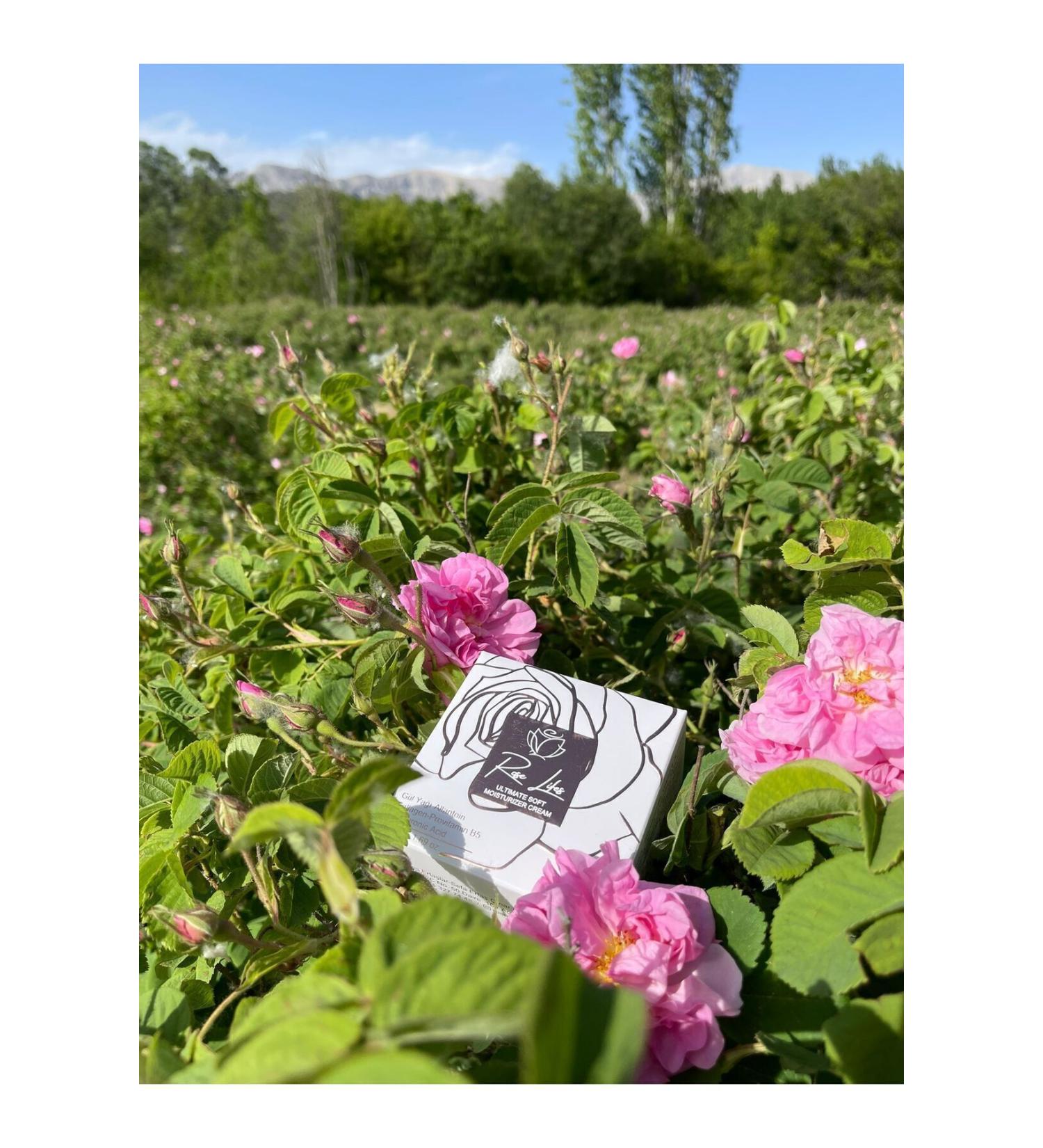 Himalaya Since 1930 Vitamin C Brightening Orange Facial Cleanser 100ml All Skin Types Paraben/SLS/SLES Free - Buy Online on GoSupps.com