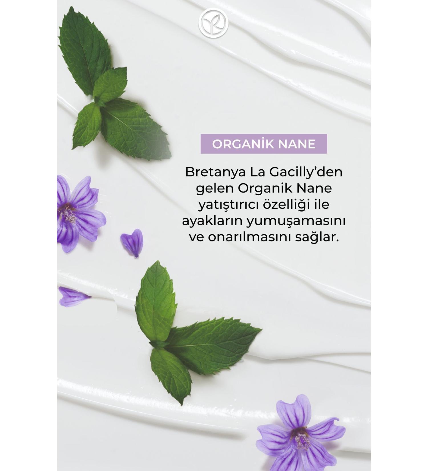 Sisley New Generation Sunscreen that Anti-Aging and Helps Protect the Youth of the Skin Under the Sun 50ml