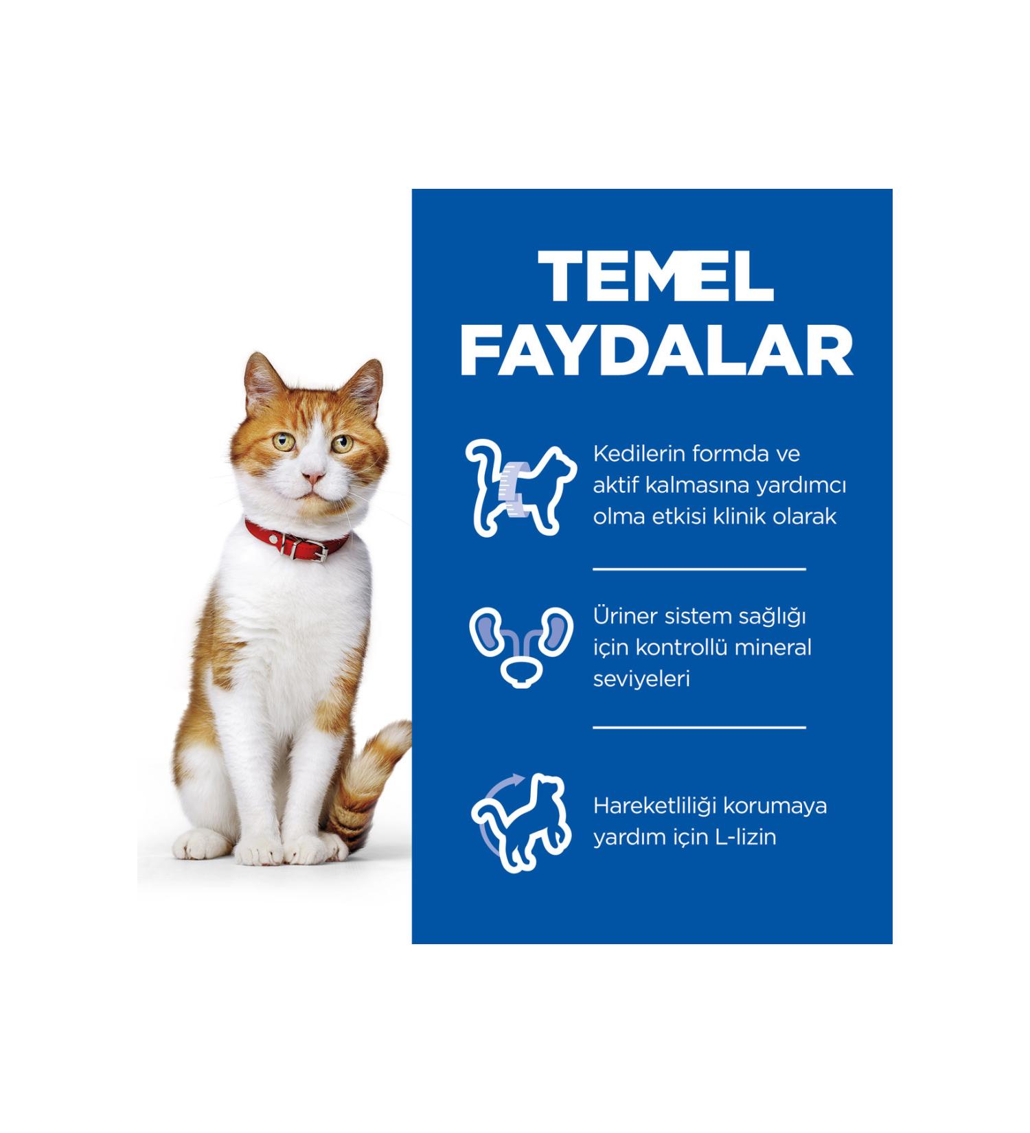 NYX Professional Makeup Fixing Powder - High Definition Finishing Powder Translucent 43 G- Vegan - Buy Online on GoSupps.com