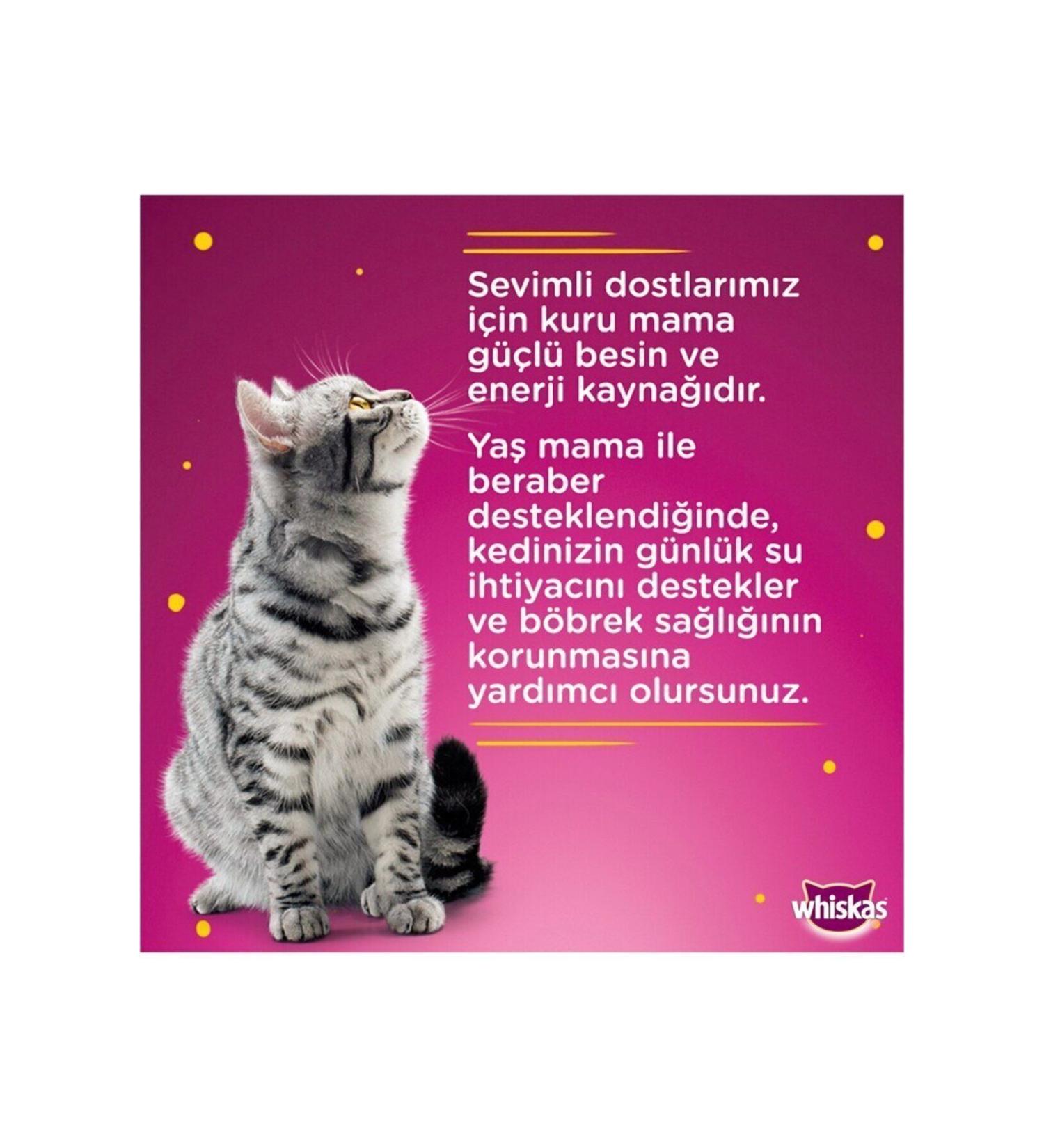 Ocean Coenzyme Q10 B12 Vitamin C - Buy Online on GoSupps.com