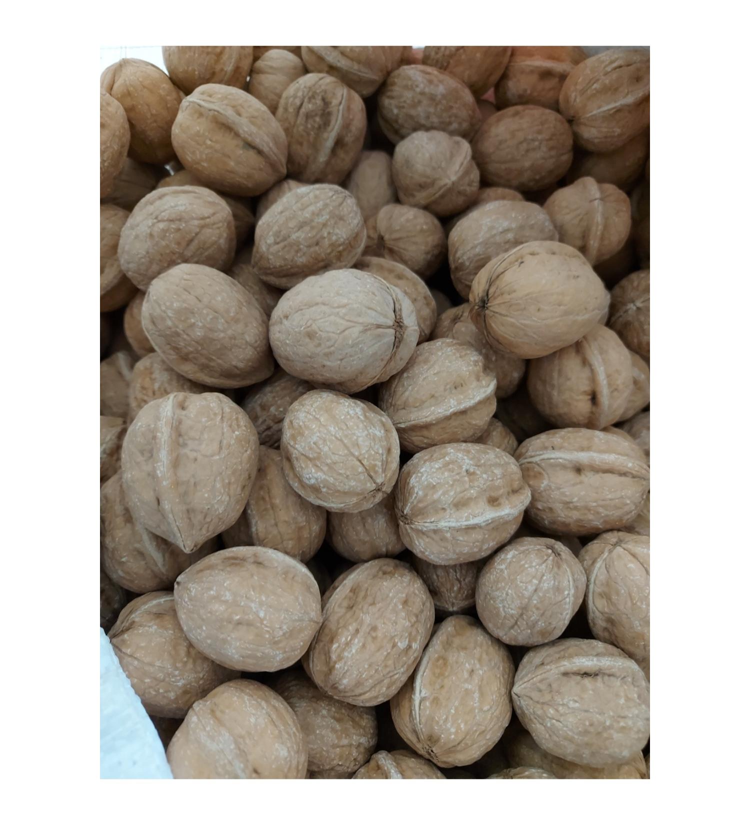 Antep Bazaar Raw Pumpkin Seeds | 250 Gr. - Buy Online on GoSupps.com