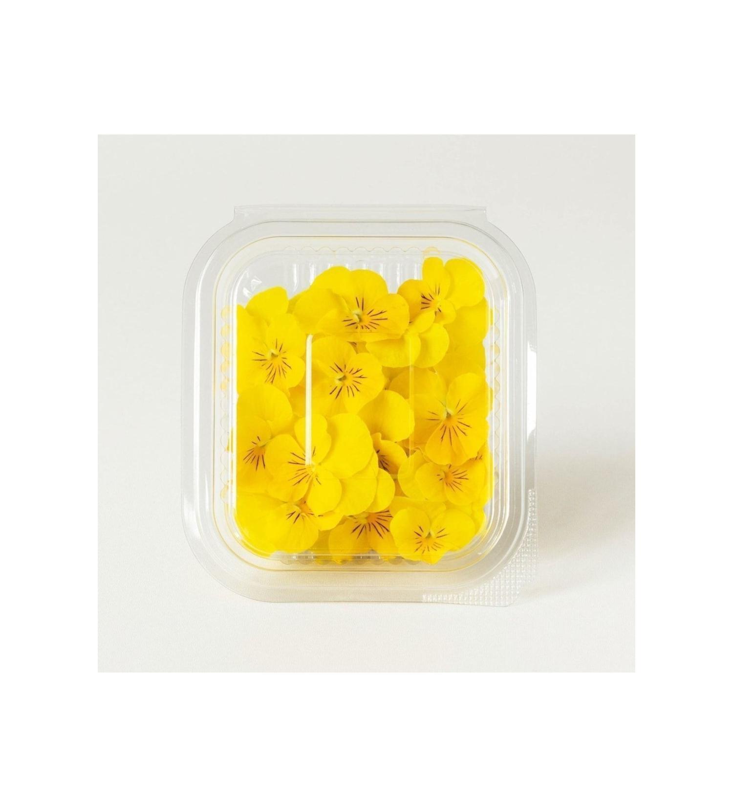 Vitanil's Nutrition Halal Certified 5-Pack Liquid Collagen - Collagen Shot Exotic Mix - Mixed Flavored - Buy Online on GoSupps.com