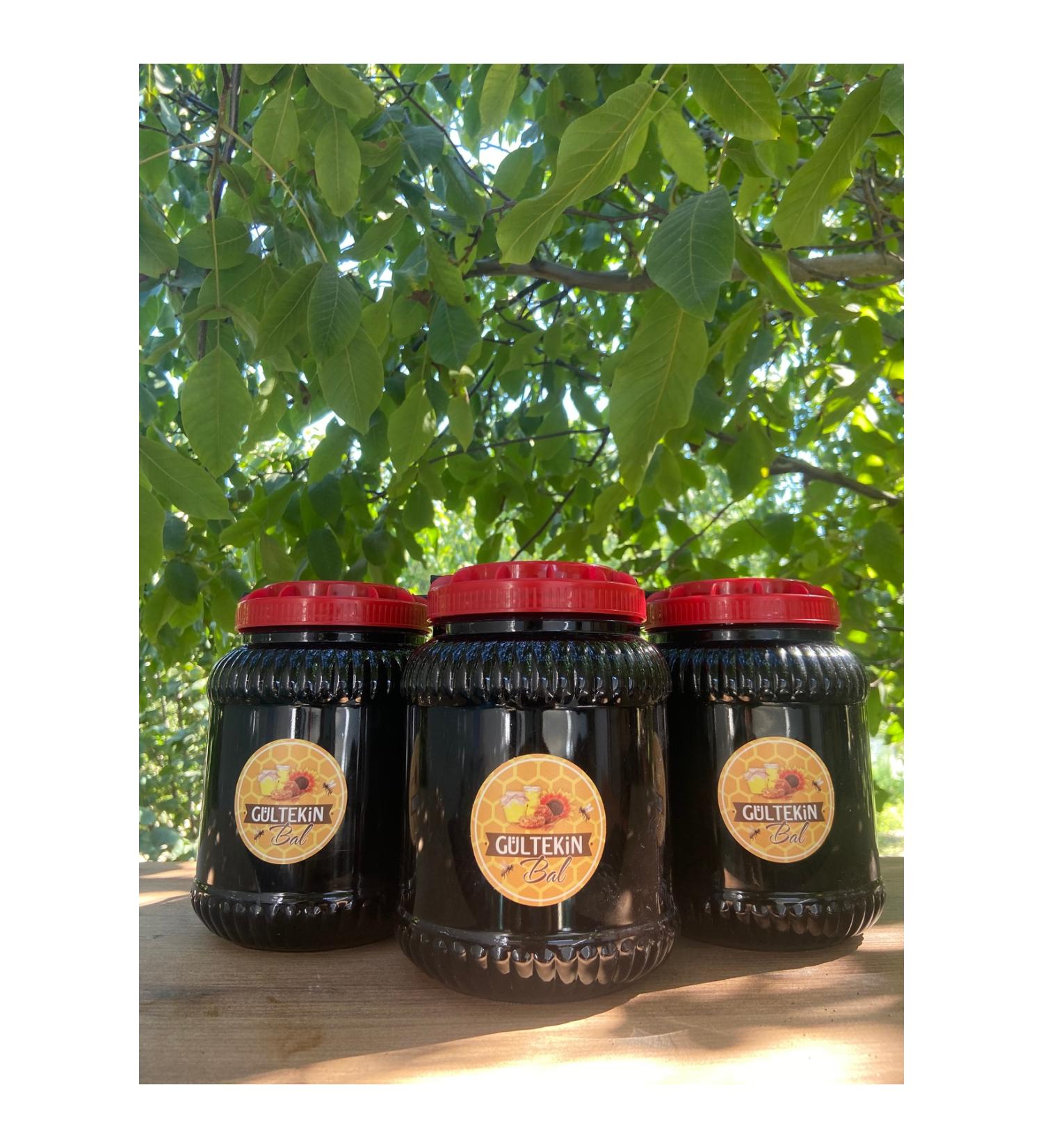 Toganoo Japanese Matcha Tea Green Tea Powder 50 gr