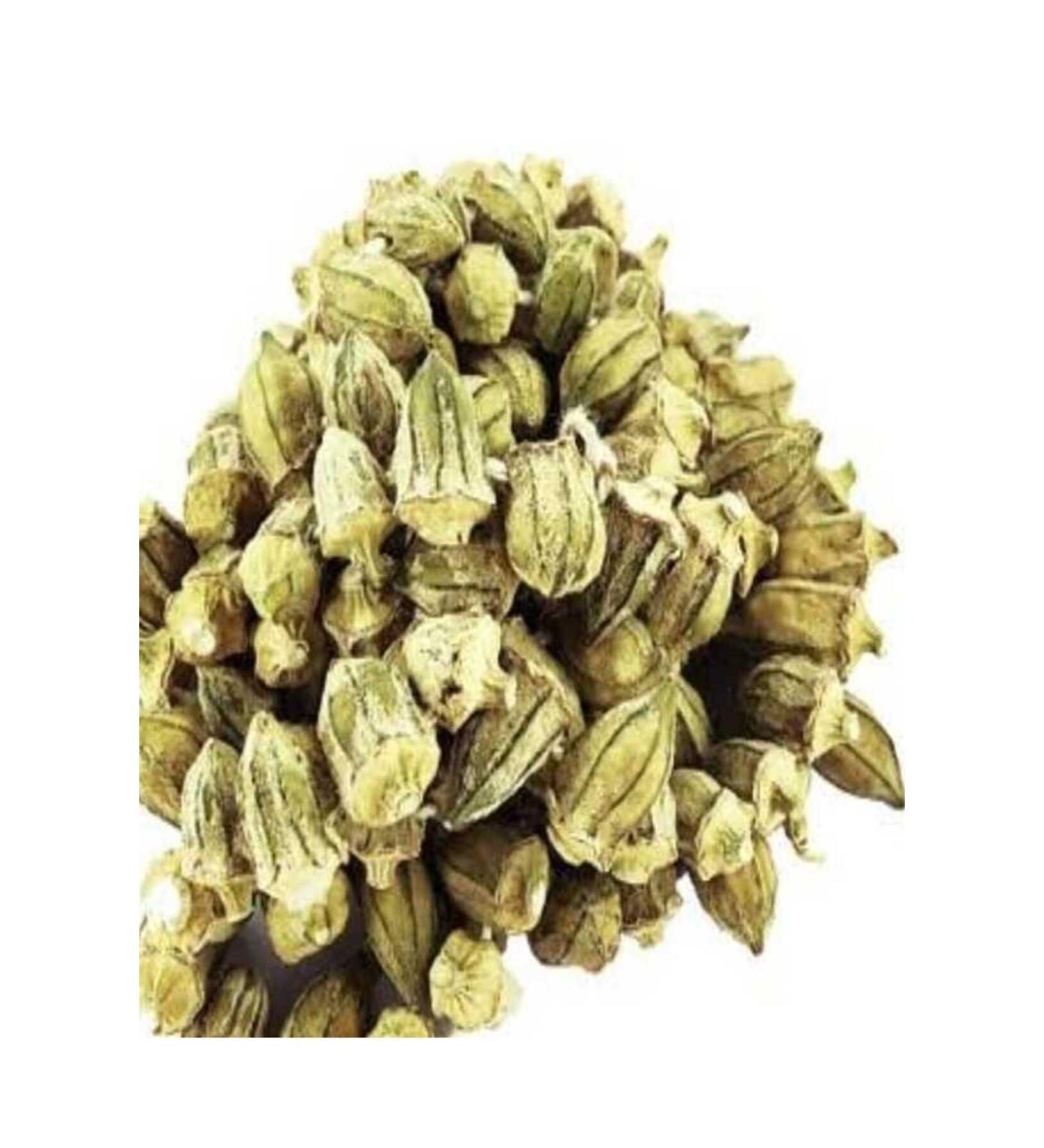 HURMAHAL Raw Pumpkin Seeds 500 gr