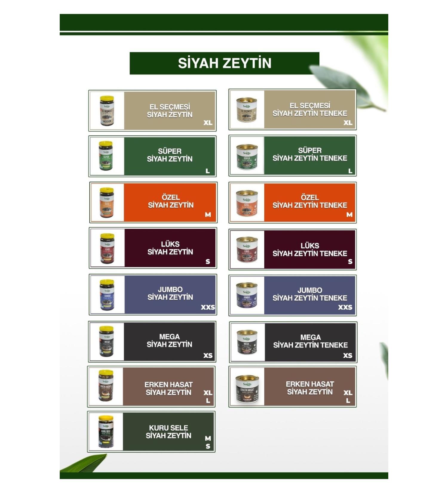 Efsina 1.250 gr Epsom Salt