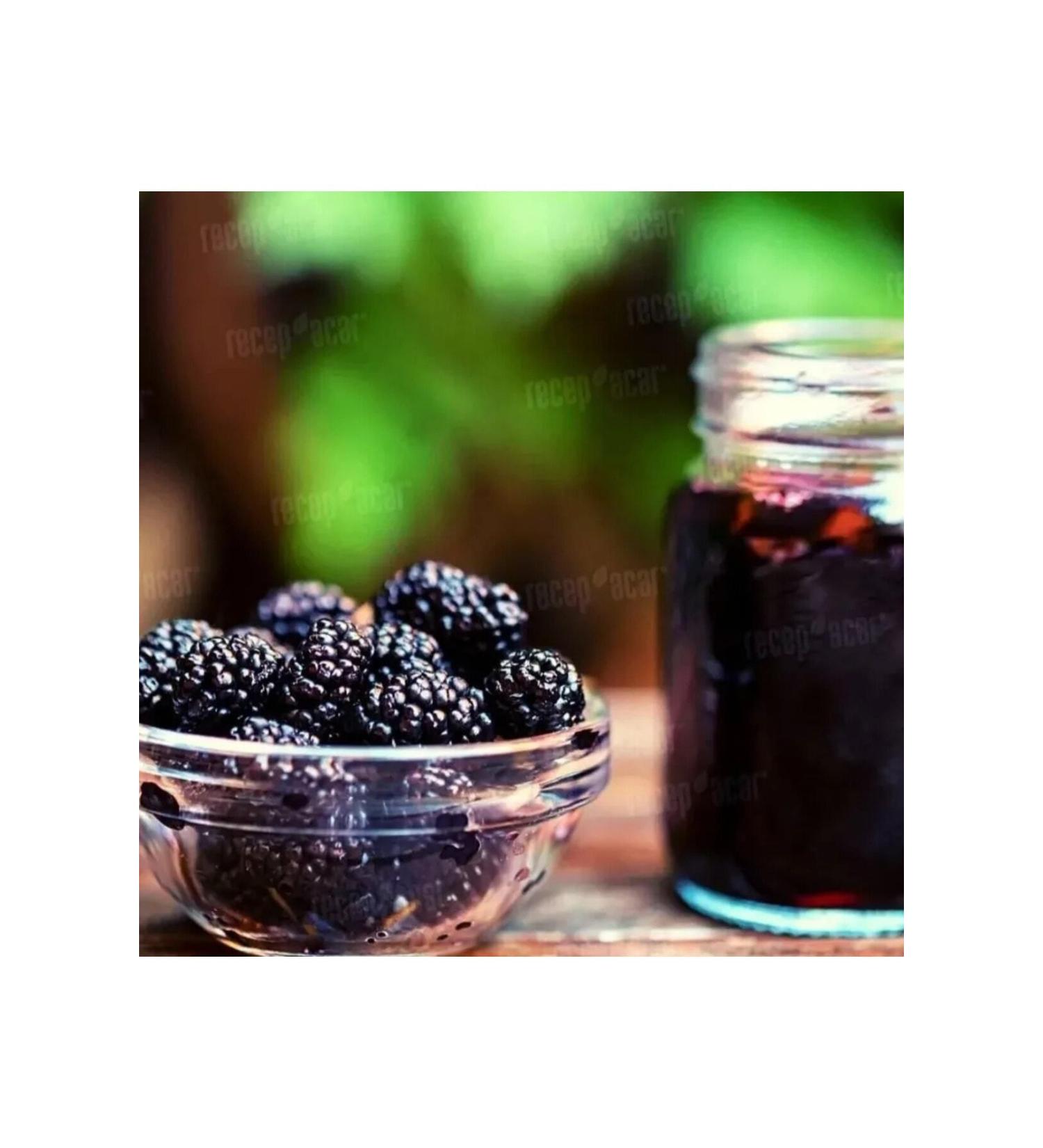 EFTEN BAL Pine Honey 460gr Natural and Award Winning