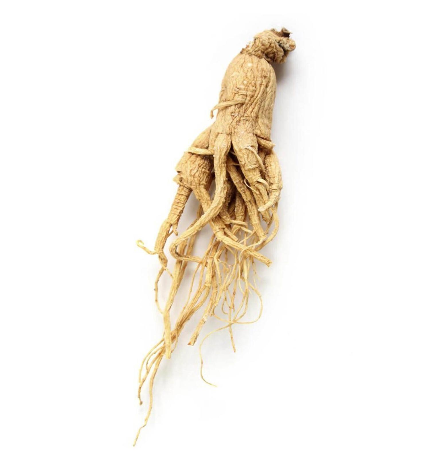 Lotus Biscoff Spread Original 400 gr - Buy Online on GoSupps.com