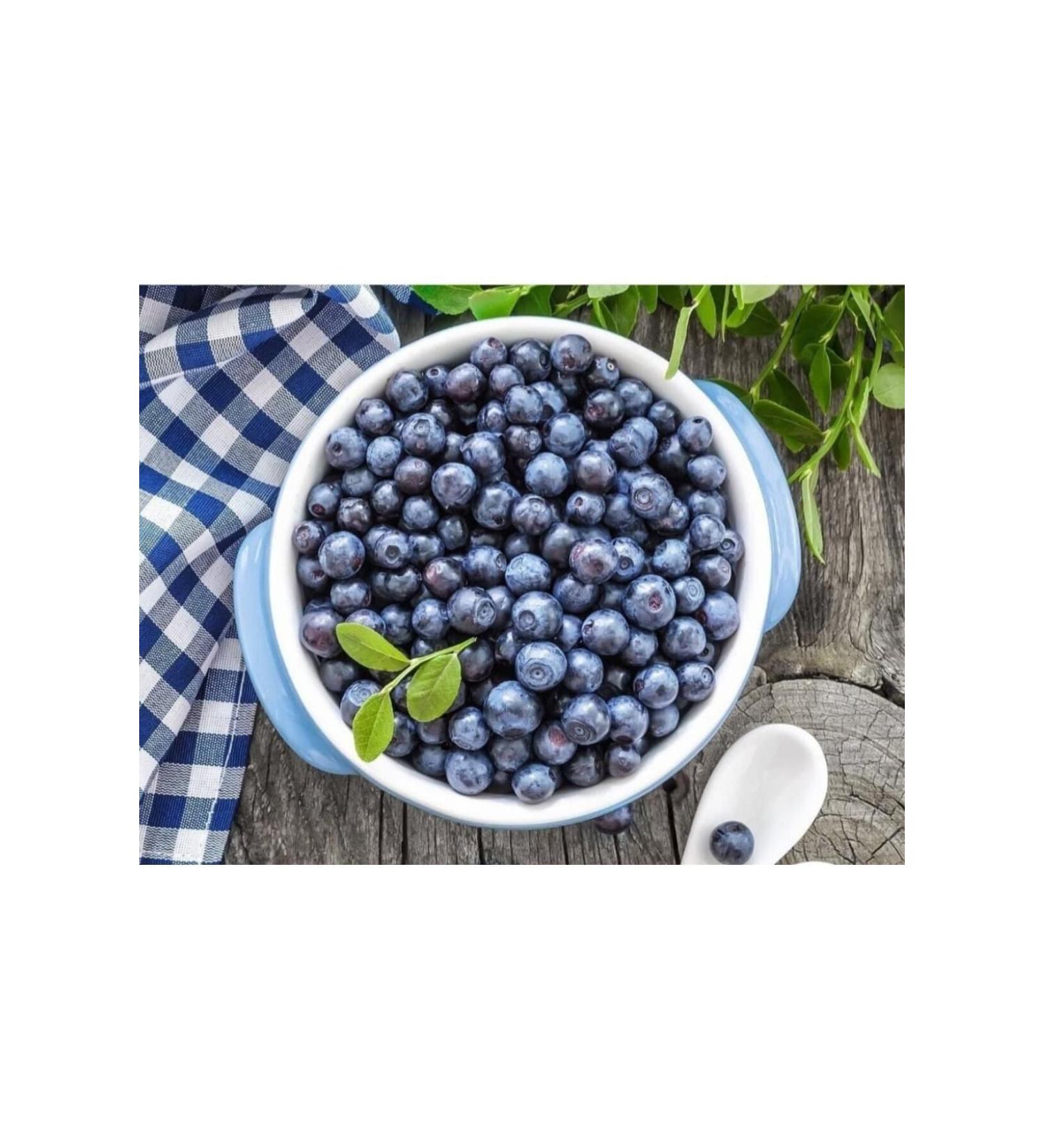 Jacobs Monarch Filter Coffee 500 gr - Buy Online on GoSupps.com