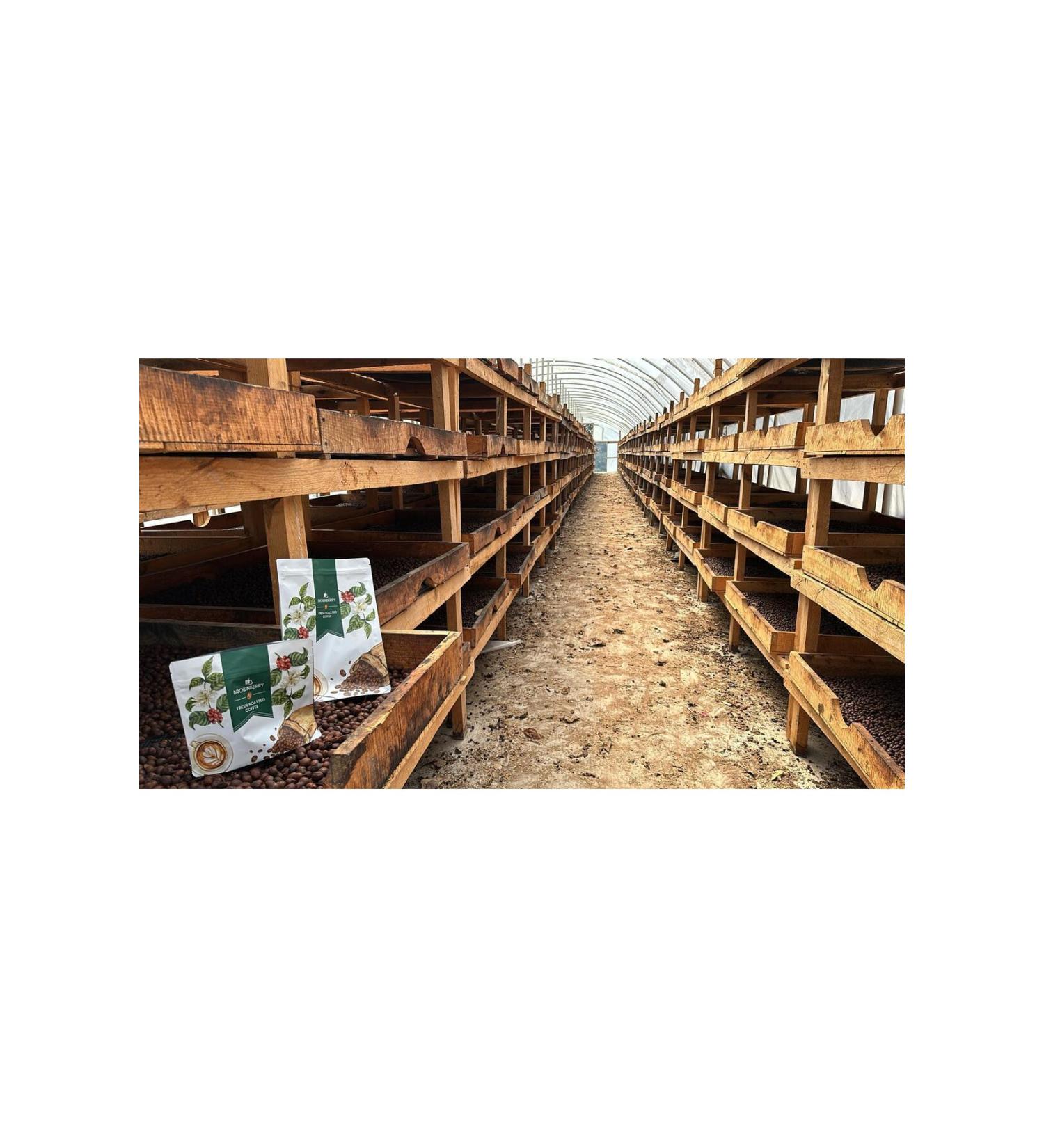 Brownberry Nicaragua Shb Ep Aaa Arabica Roasted Coffee 1 Kg
