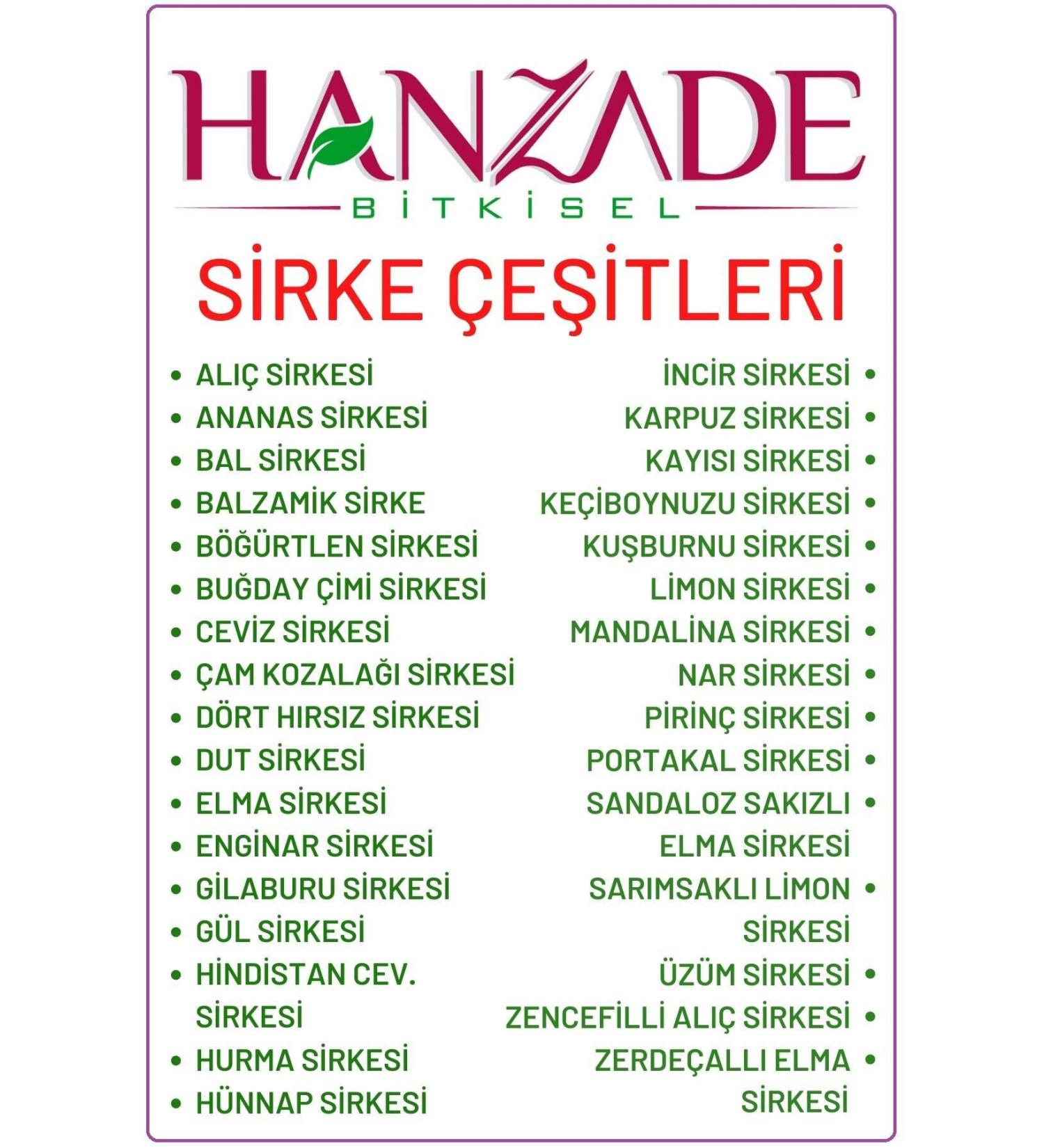 Elvan Today Extra Creamy Hazelnut Wafer 50Gr. 24 Pieces (1 Box)