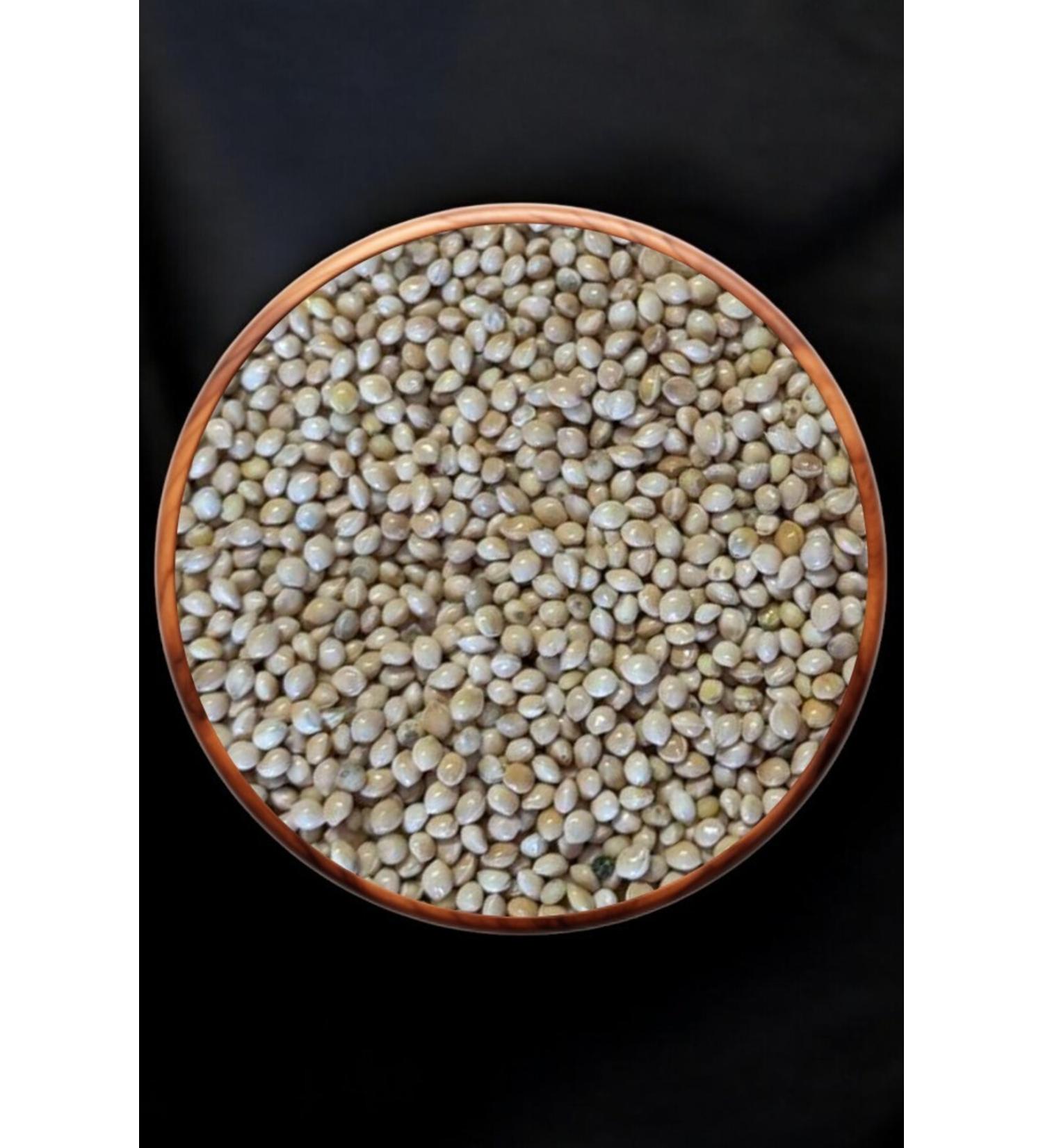 LR Reishi Plus - 30 Capsules