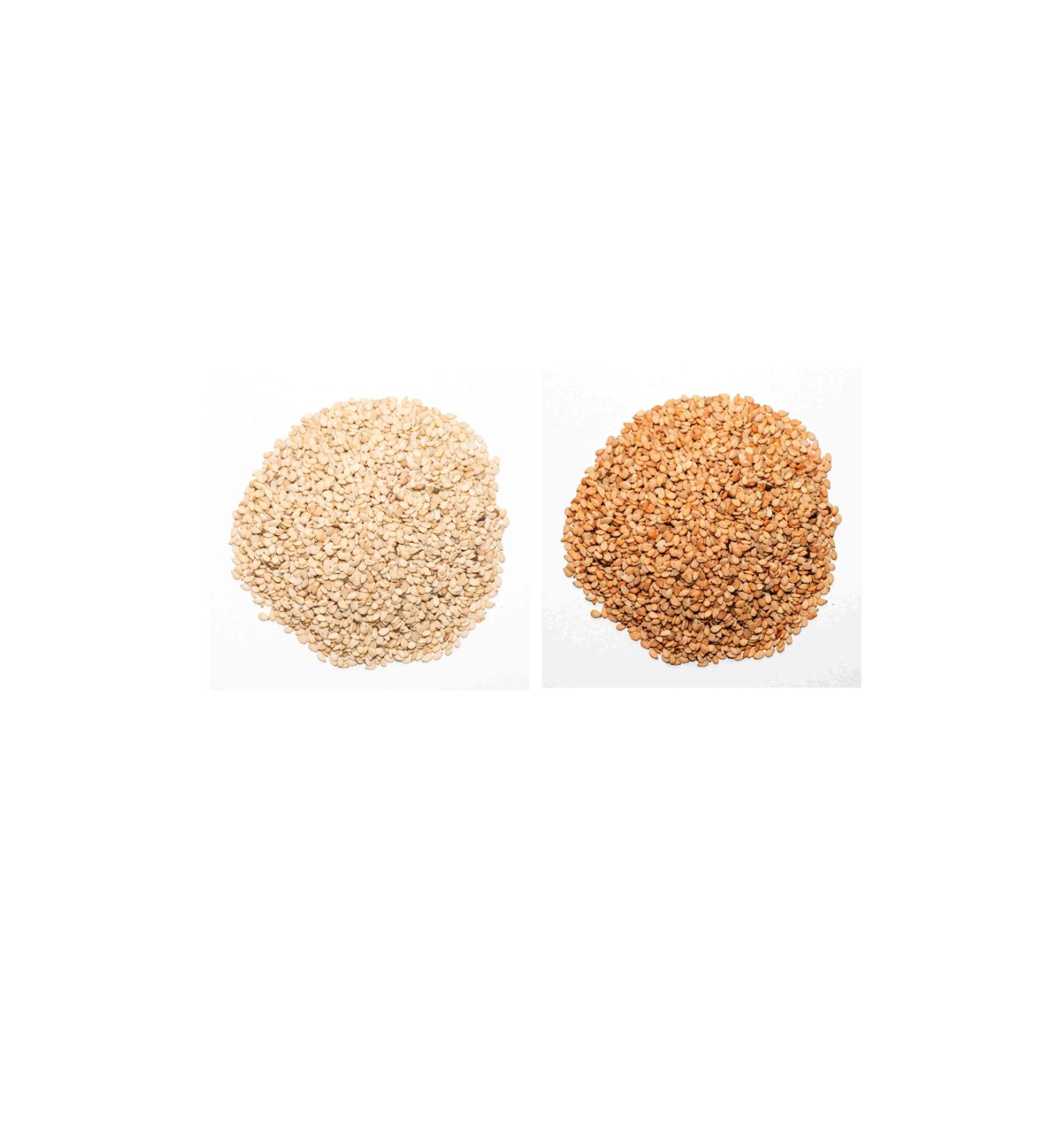 NATURE'S BLESSING Roasted Sesame + Raw Sesame TOTAL 600 gr ORGANIC (Sifted No Additives)