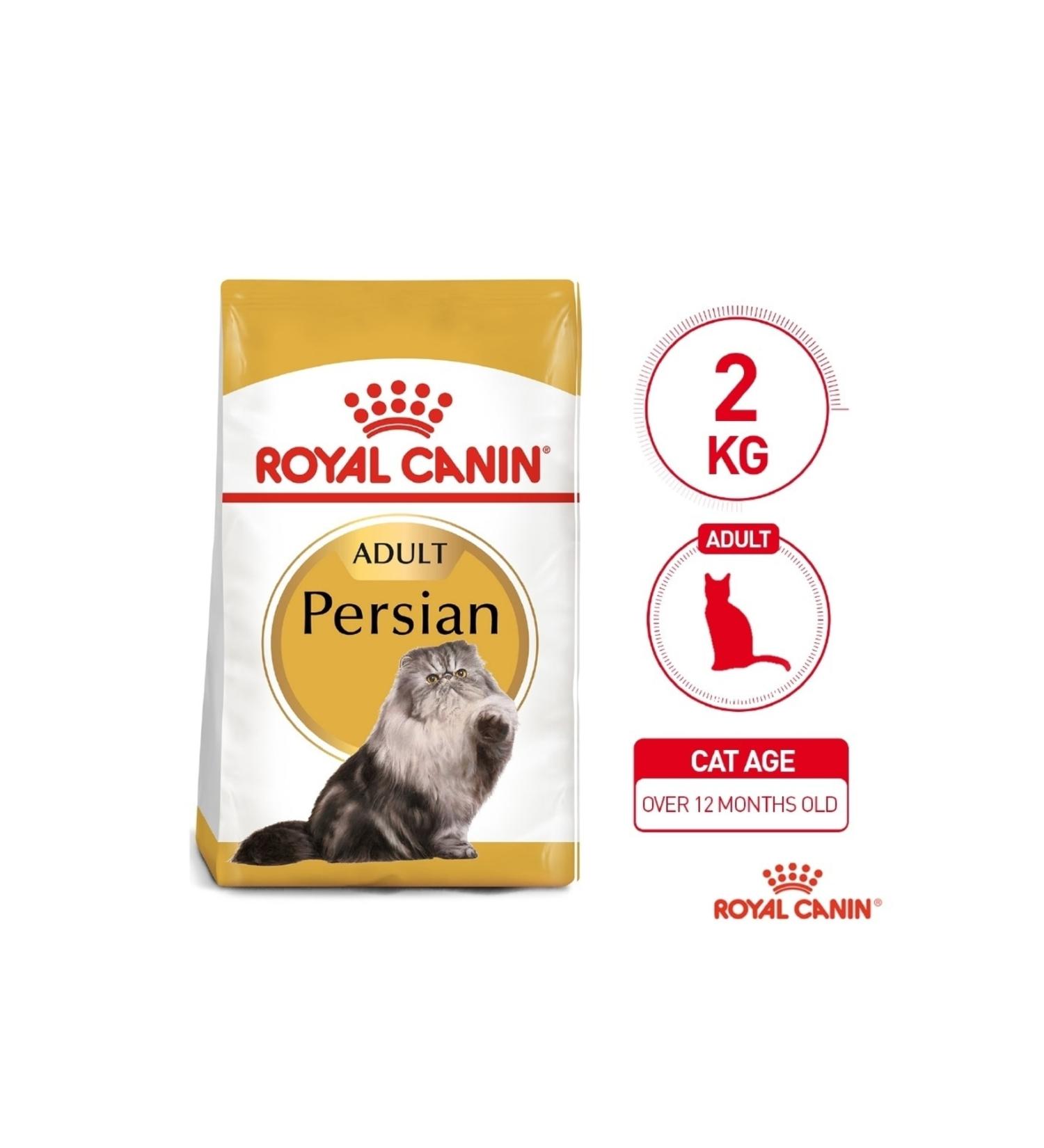 Now Foods Turmeric Curcumin 60 Veg Capsules