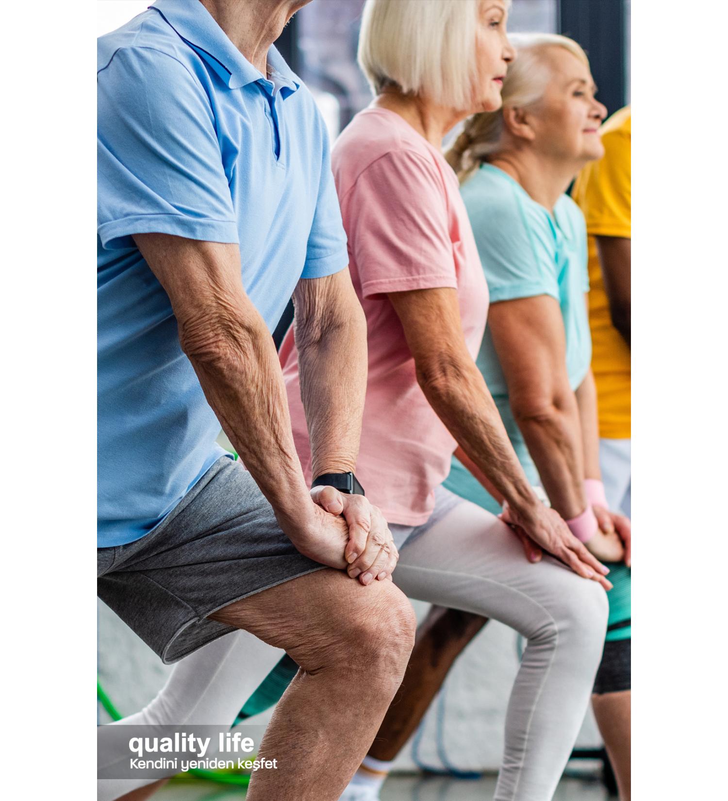 Arifo lu Black Mulberry Syrup 100ml