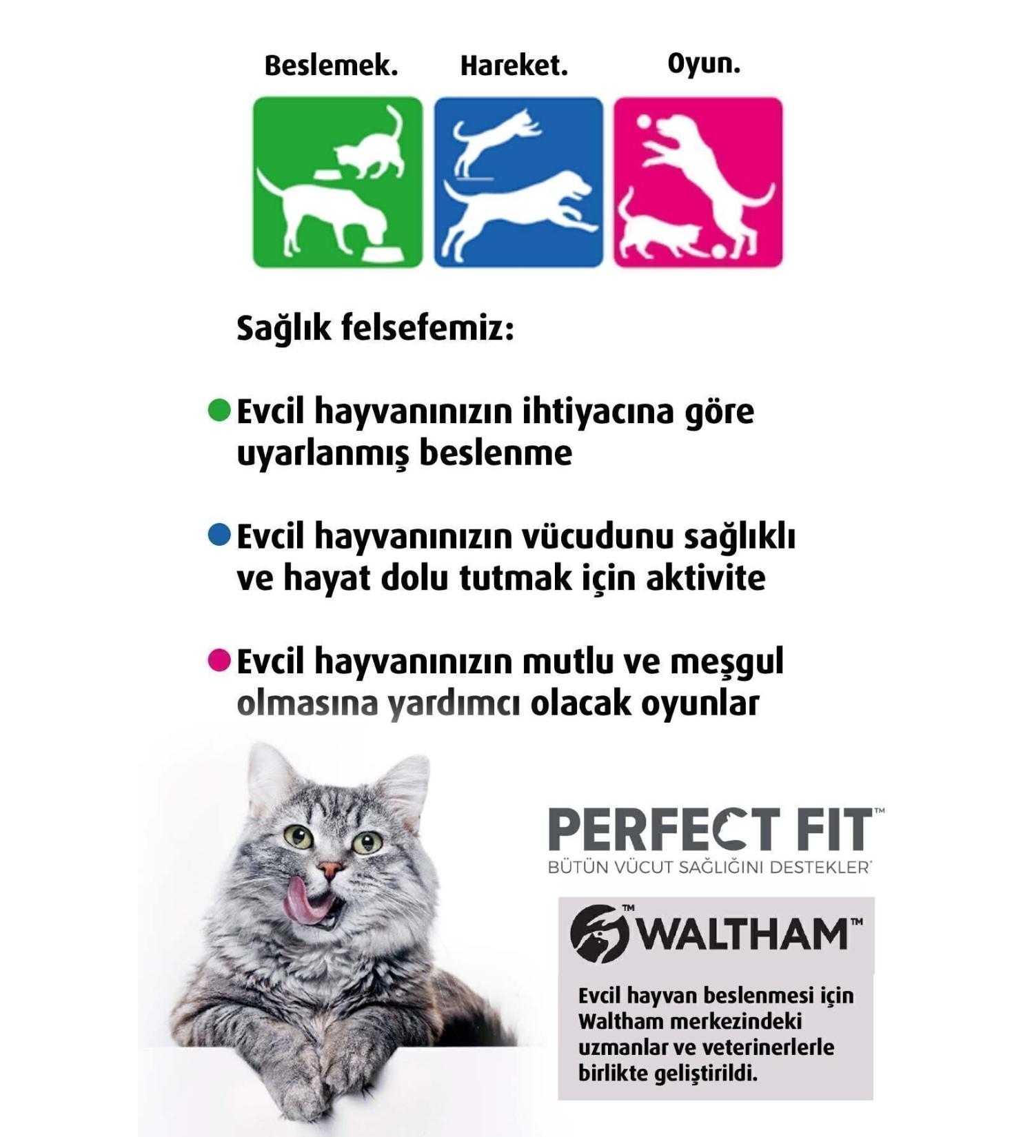 Life Paella Chicory Coffee Detox Coffee 1 Month - (60 USES) Net 150gr