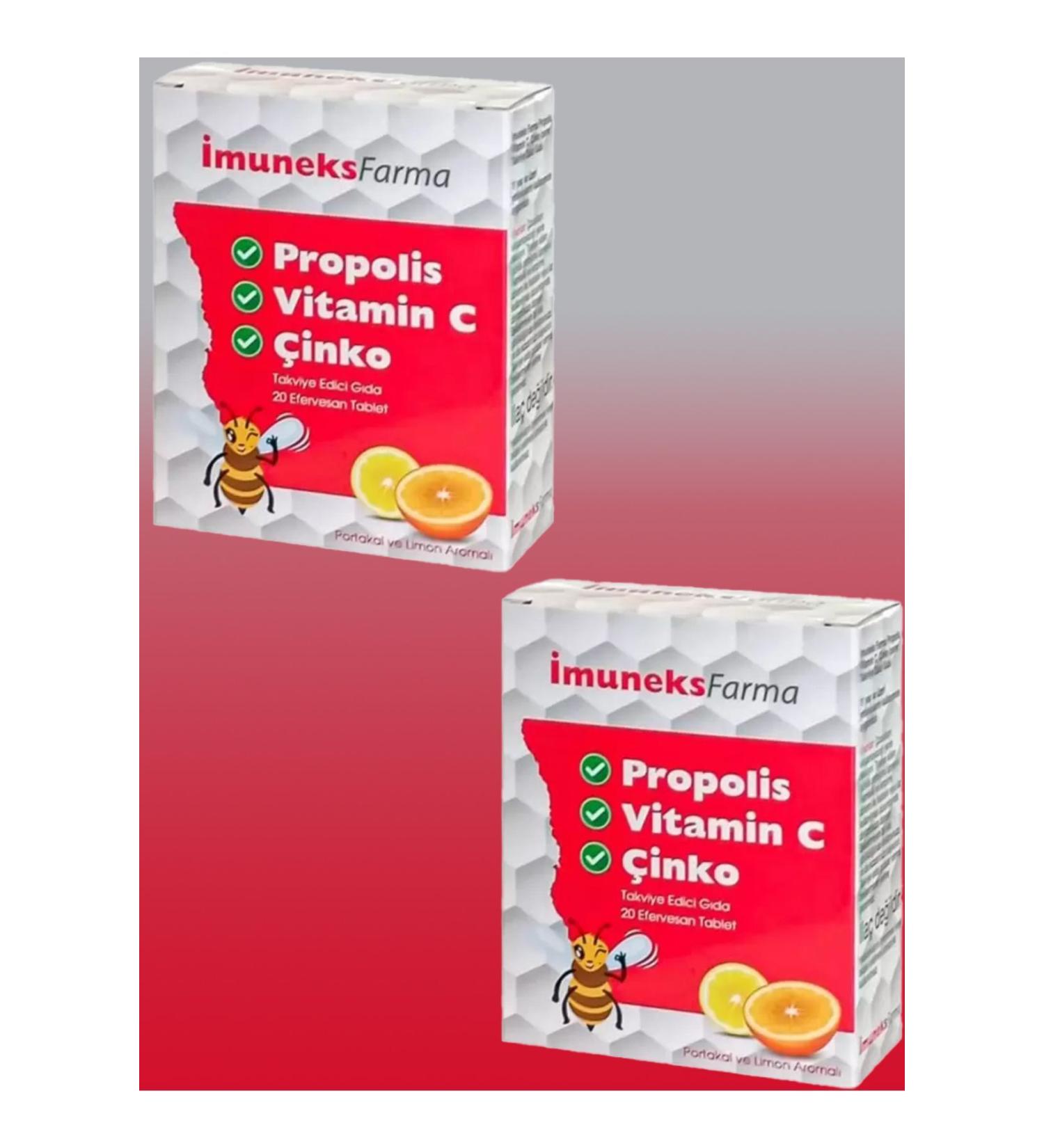 Mica Dwarf Cichlid Nest (13x11x11h) No:201