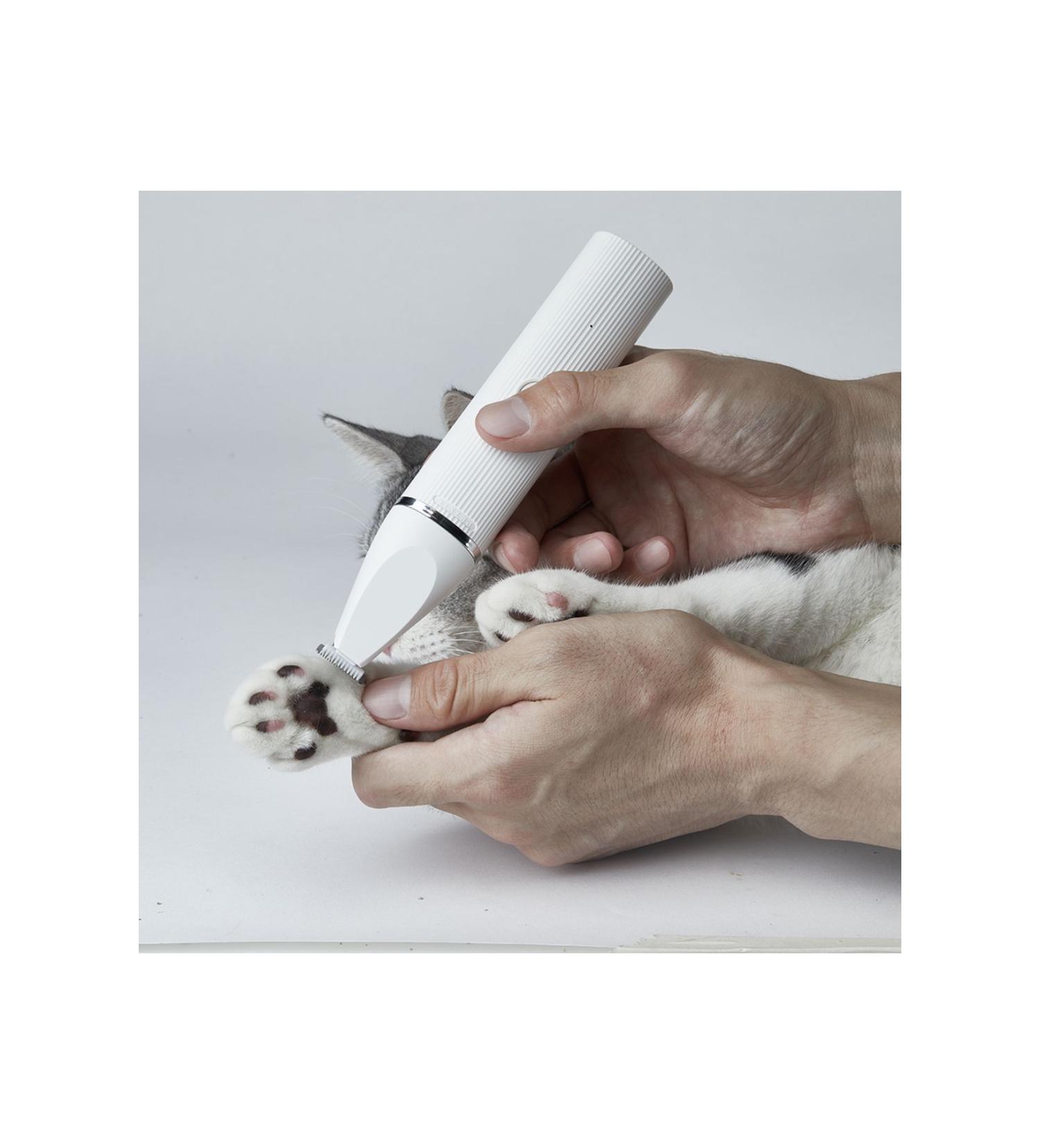 Advance Dog Puppy Protect Medium 12 Kg 492113
