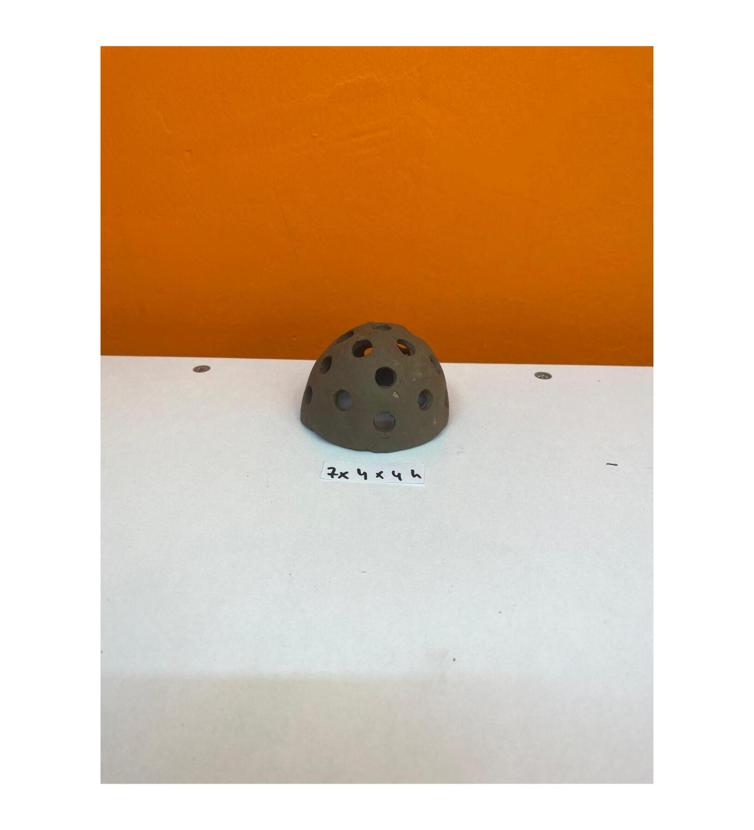 PlecoT rk Shrimp (7x4x4h) No:1