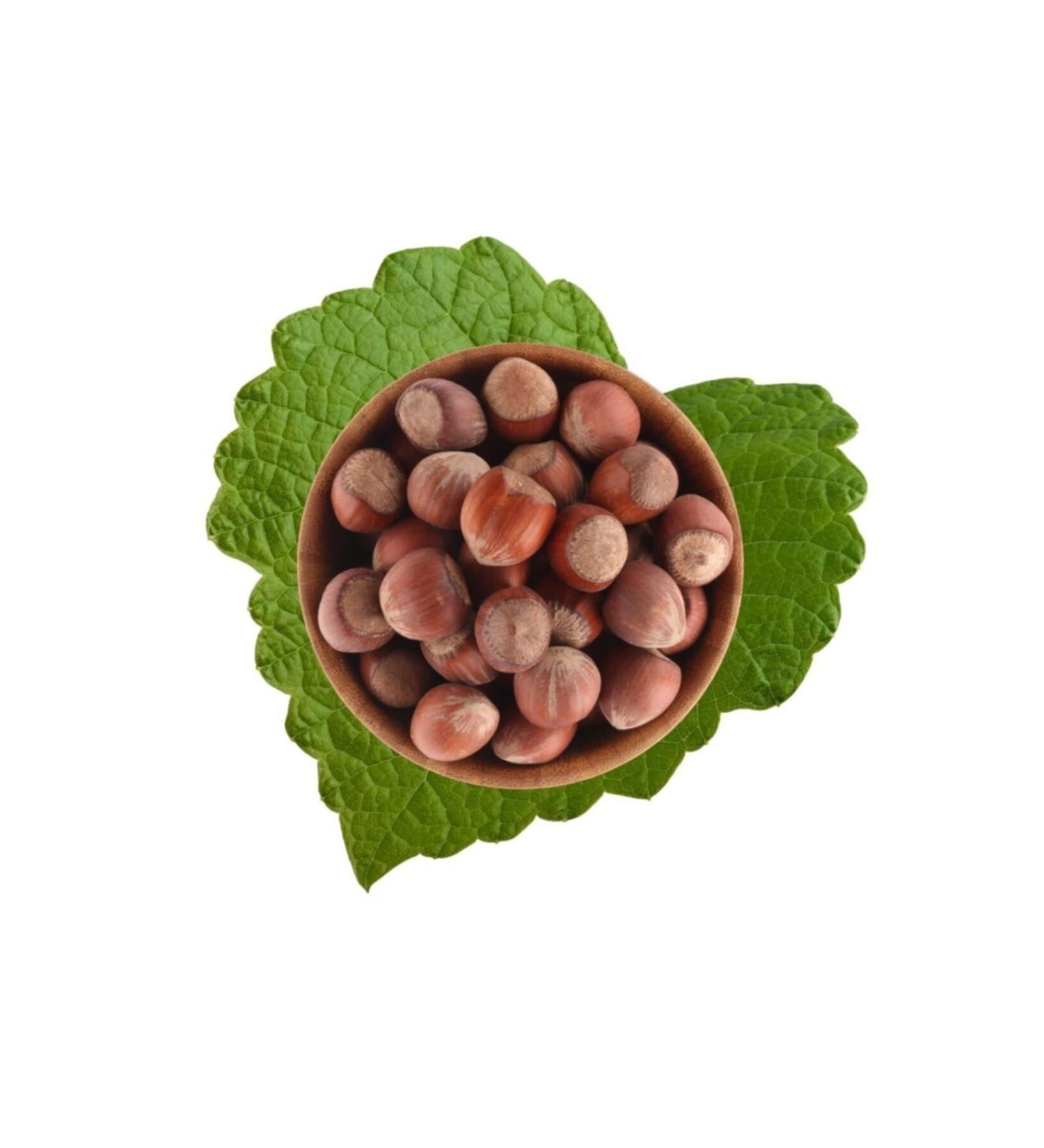 SEYYAHIN FTL Organic Carob Molasses 350 g