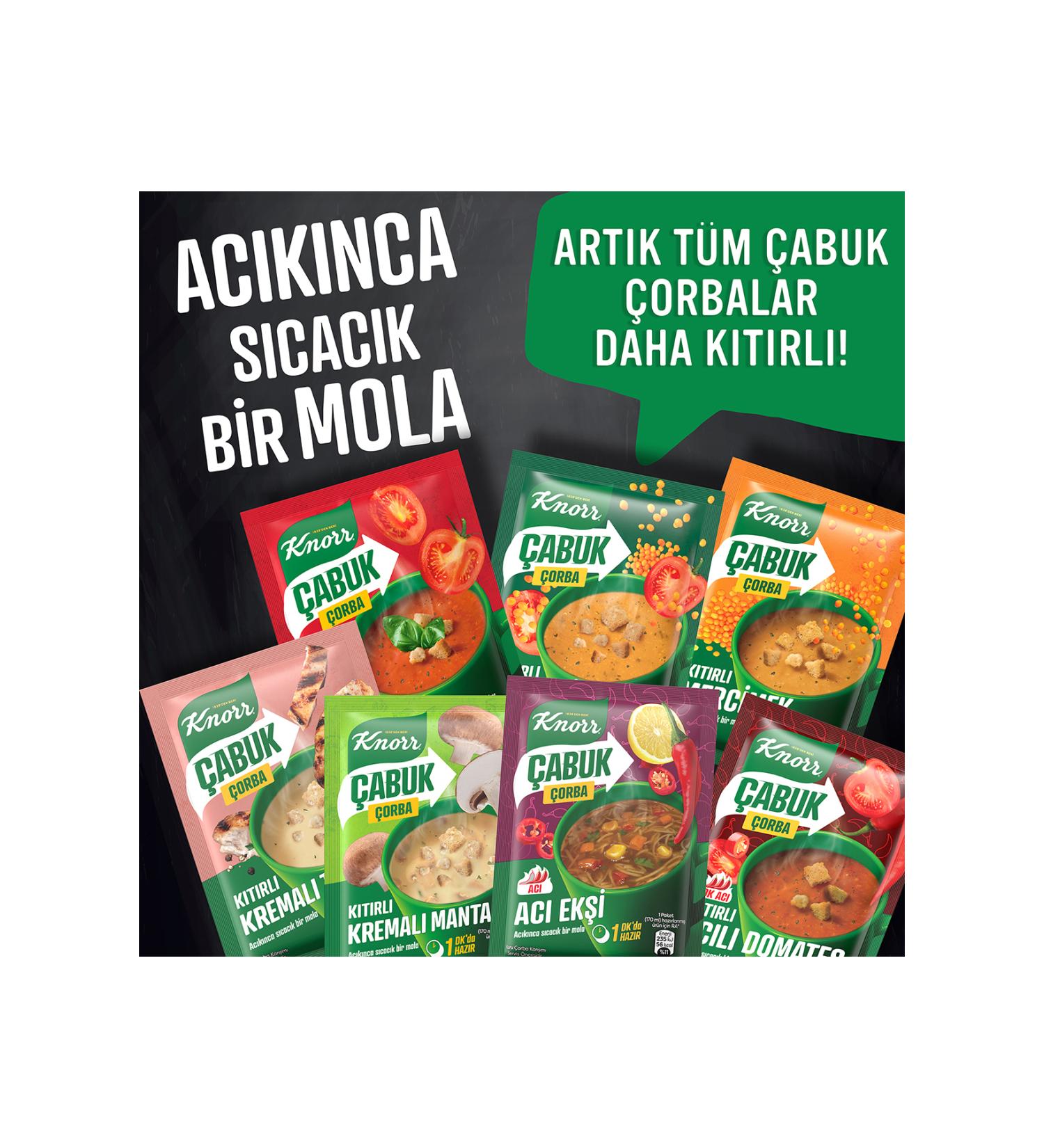 Felicia Salmon Cat Pouch Food 85 Gr X 6 Pieces