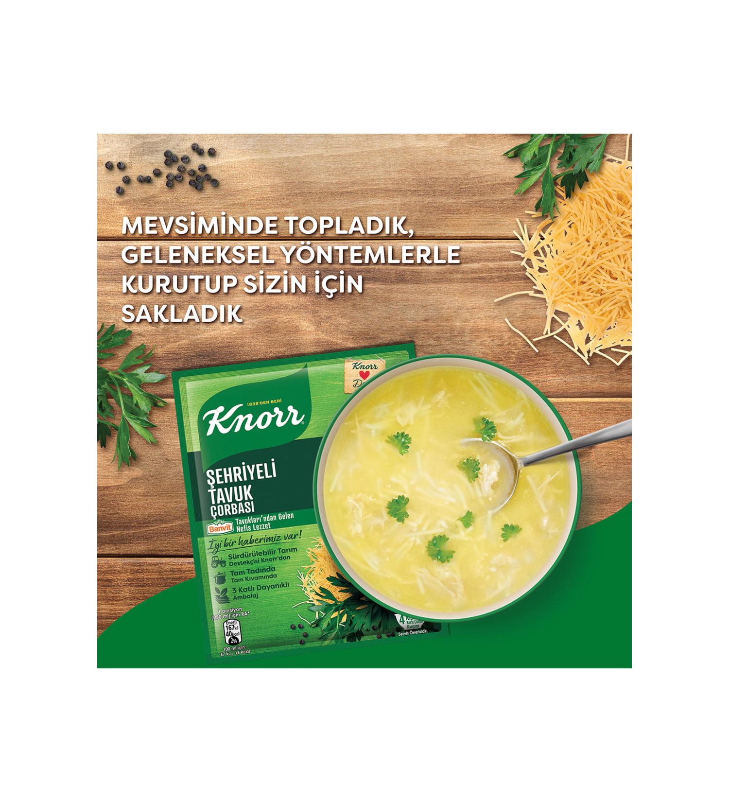 Schesir C169 Chicken Fillet Sauce Cat Canned Food 85 gr