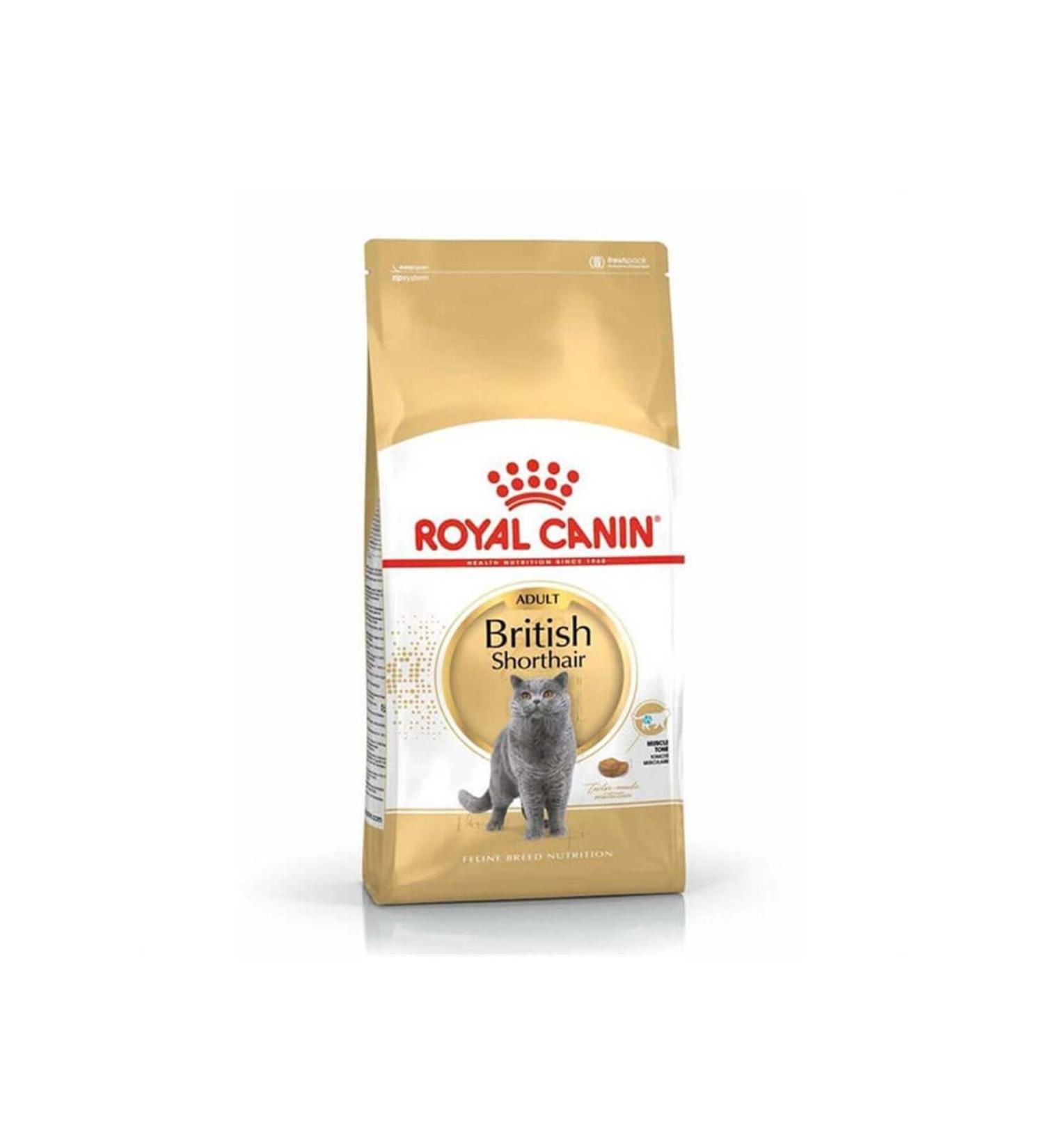 Royal Canin British Shorthair Cat Food 10 Kg - Buy Online on GoSupps.com