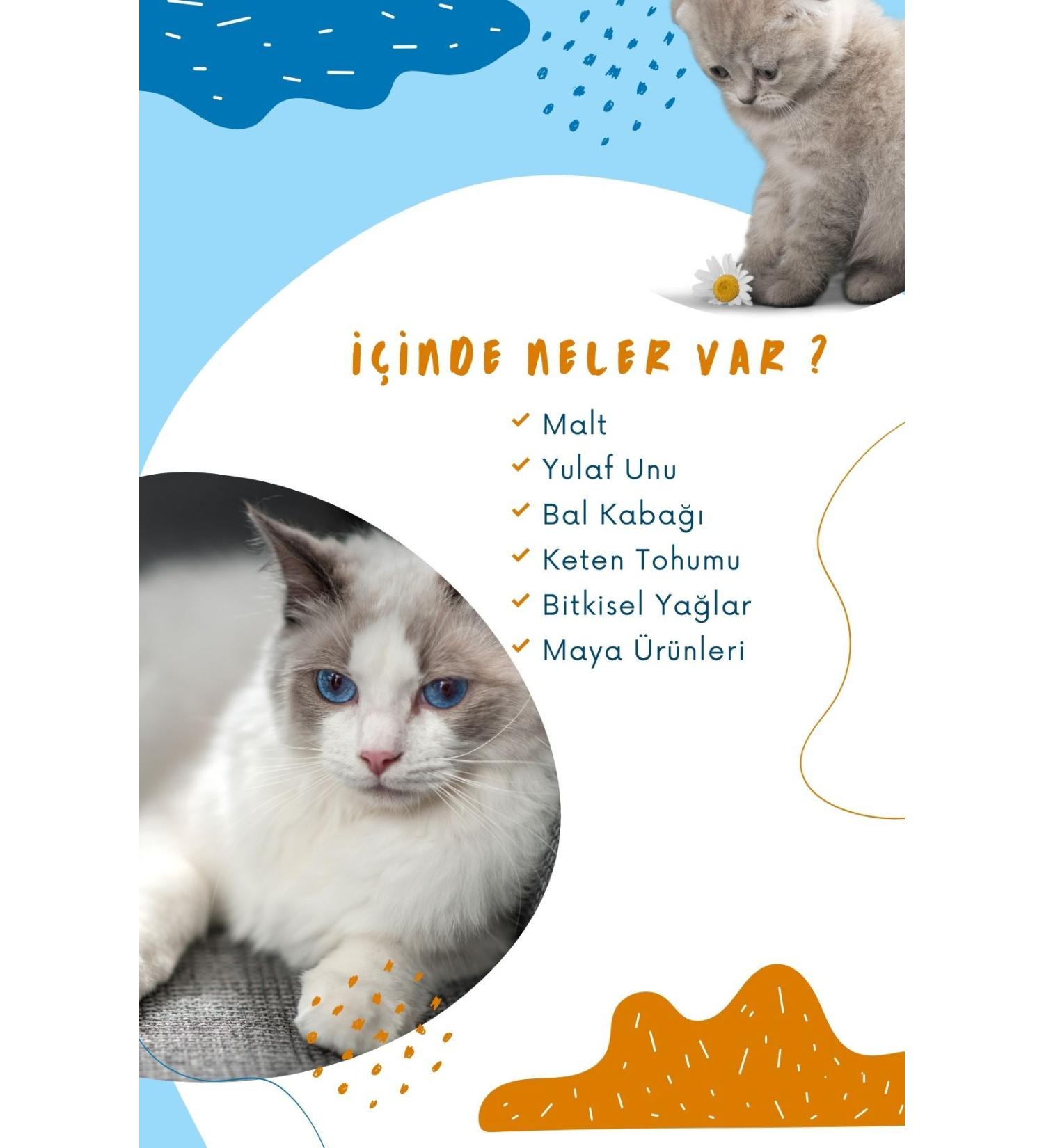 COFFEE & TEA SEEDS CO. CATS Premium Turkish Coffee 250 grams - Buy Online on GoSupps.com