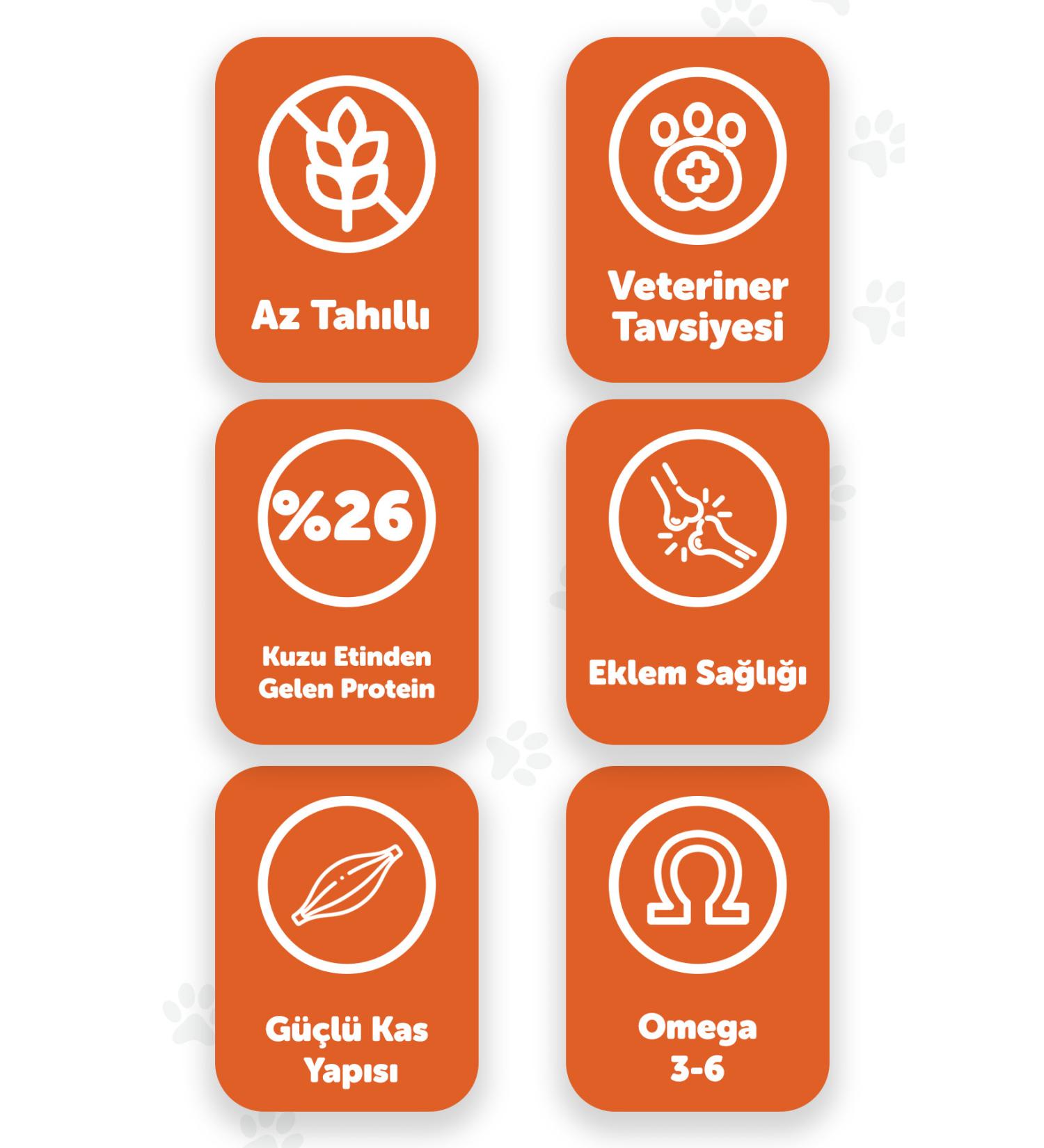 Aptamil APTAMIL PROSYNEO 6-12 MONTHS 2 NUMBER 400 GR 3-PACK NEW PACKAGING