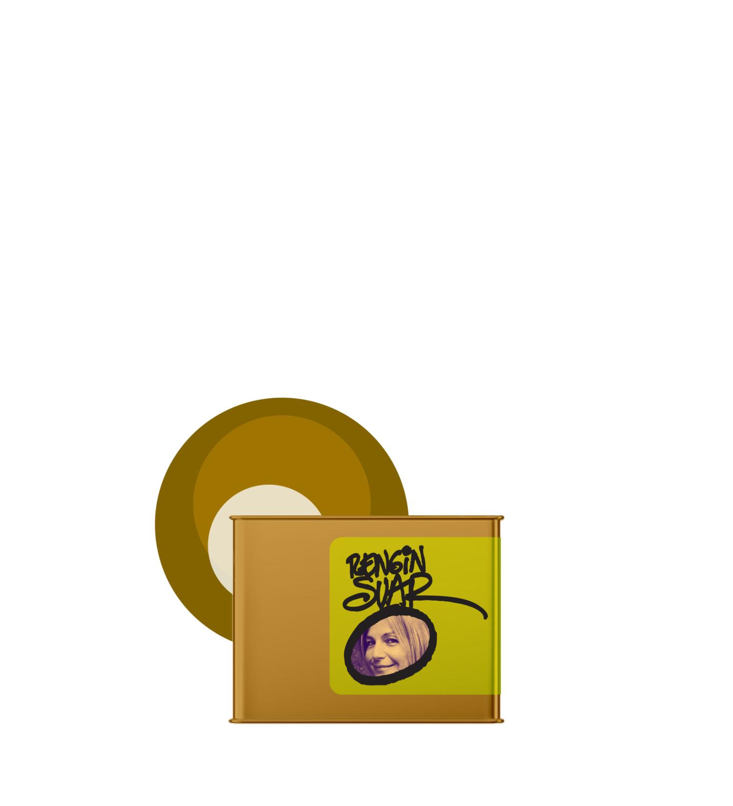 Bestpet Adult Cat Canned Food with Salmon 400gr - 12 Pieces