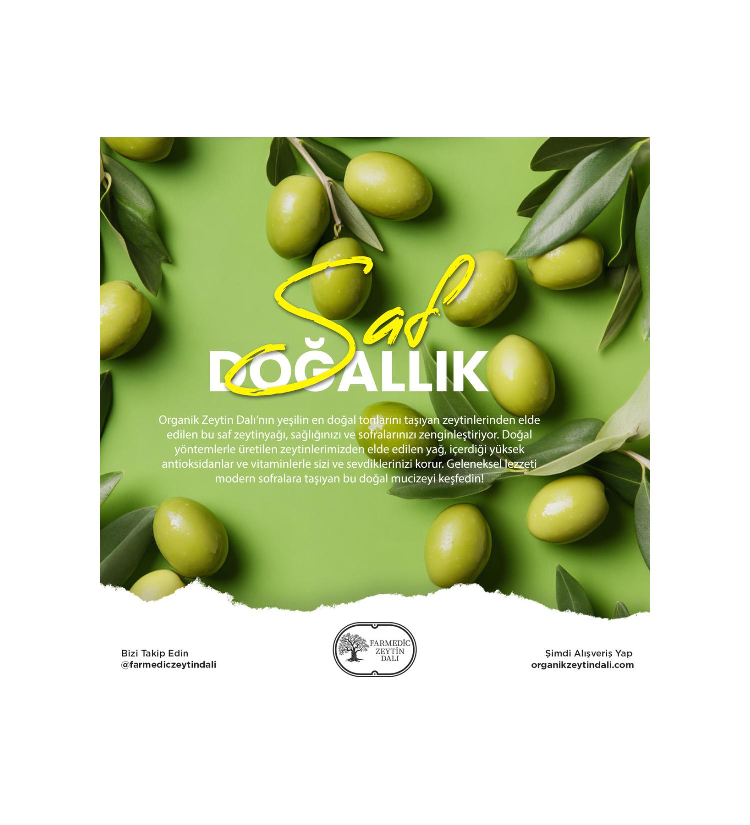 Skin Care Paste Leather and Fur Care Paste for Dogs 60ml Bgon