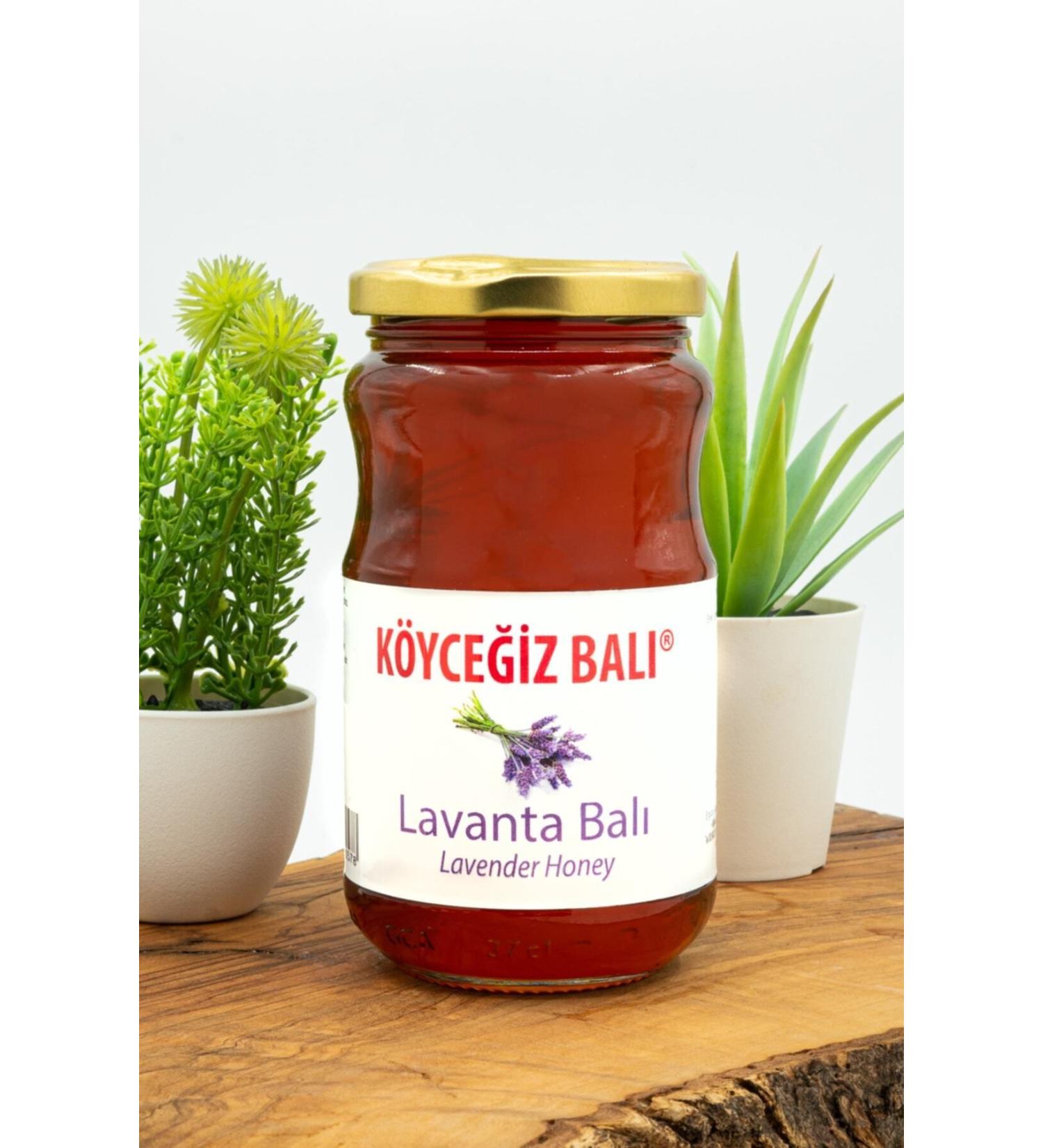 Bio PetActive Kitten Milk Powder 200 gr