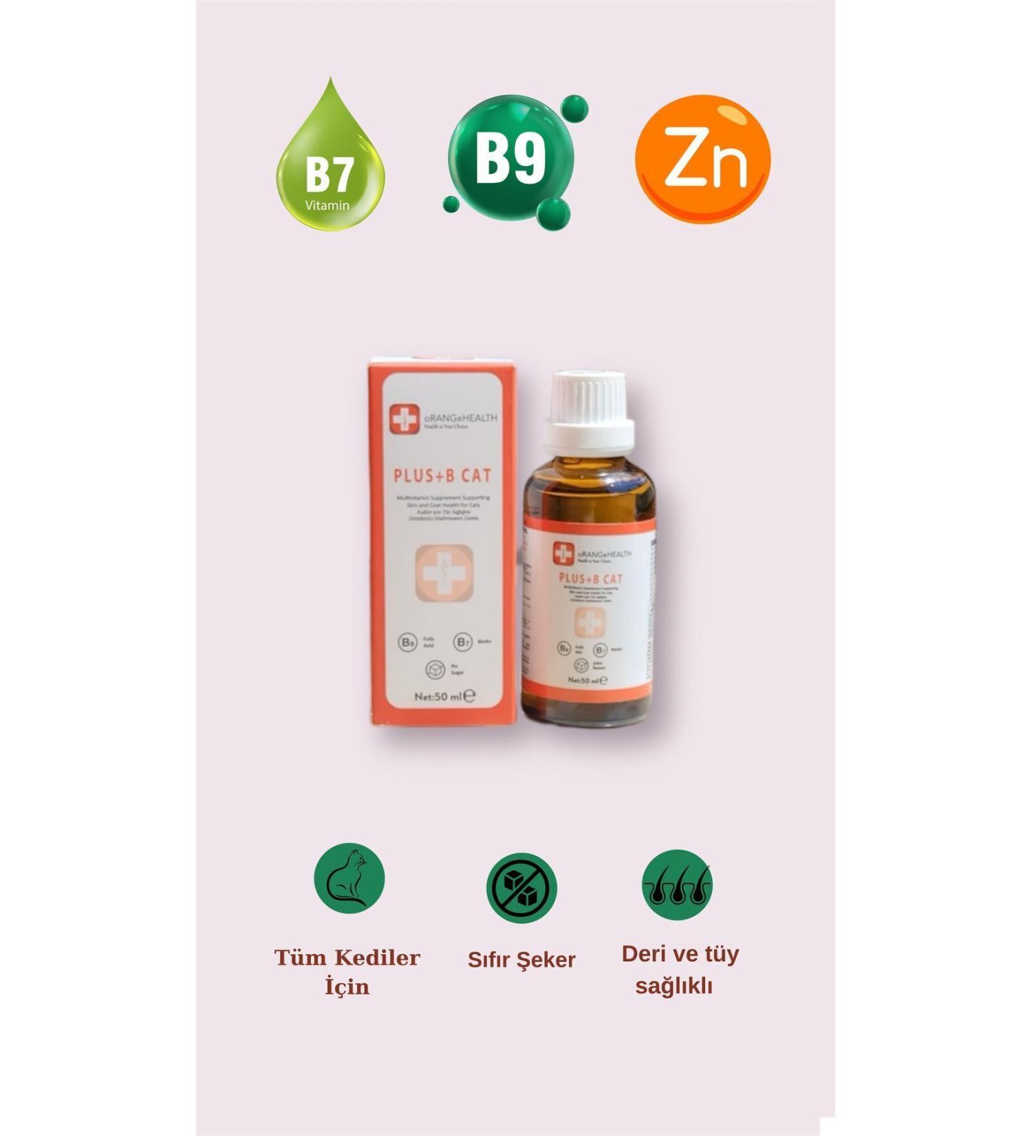 EFELER LAND Pitted Grilled Green Olives 900 Gr